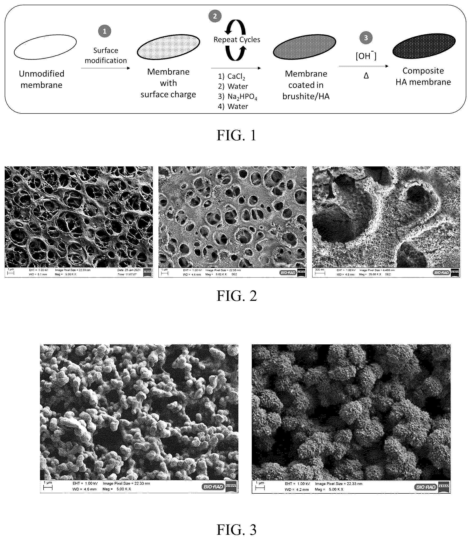 Patent US12496567 Figure 1 – Polymer-hydroxyapatite composite membranes
