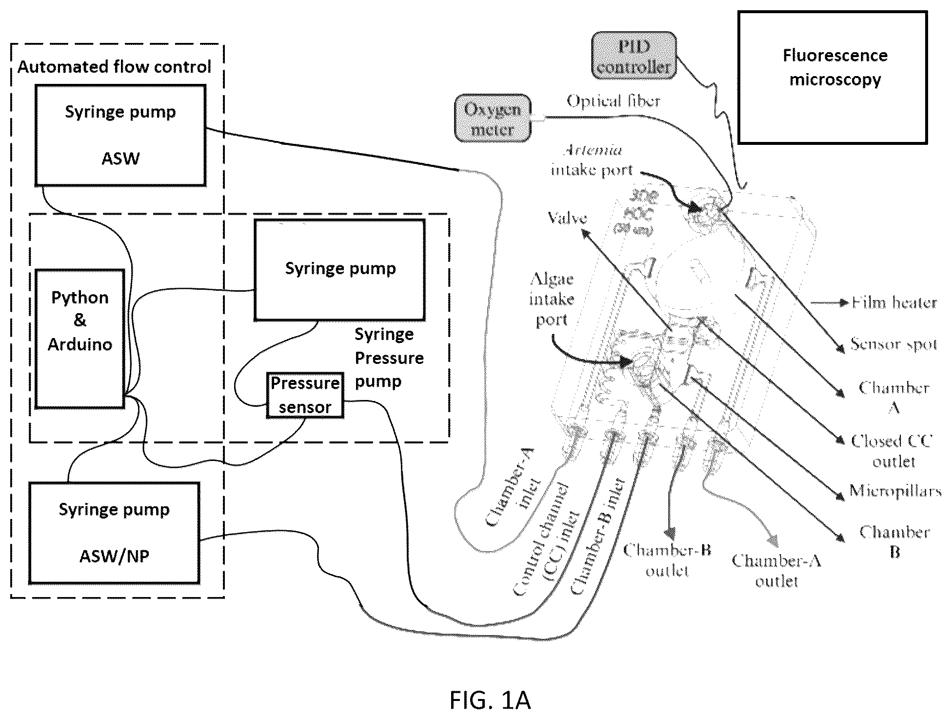 Patent US12496581 — Systems and methods for in vivo nanotoxicity testing — Figure 1