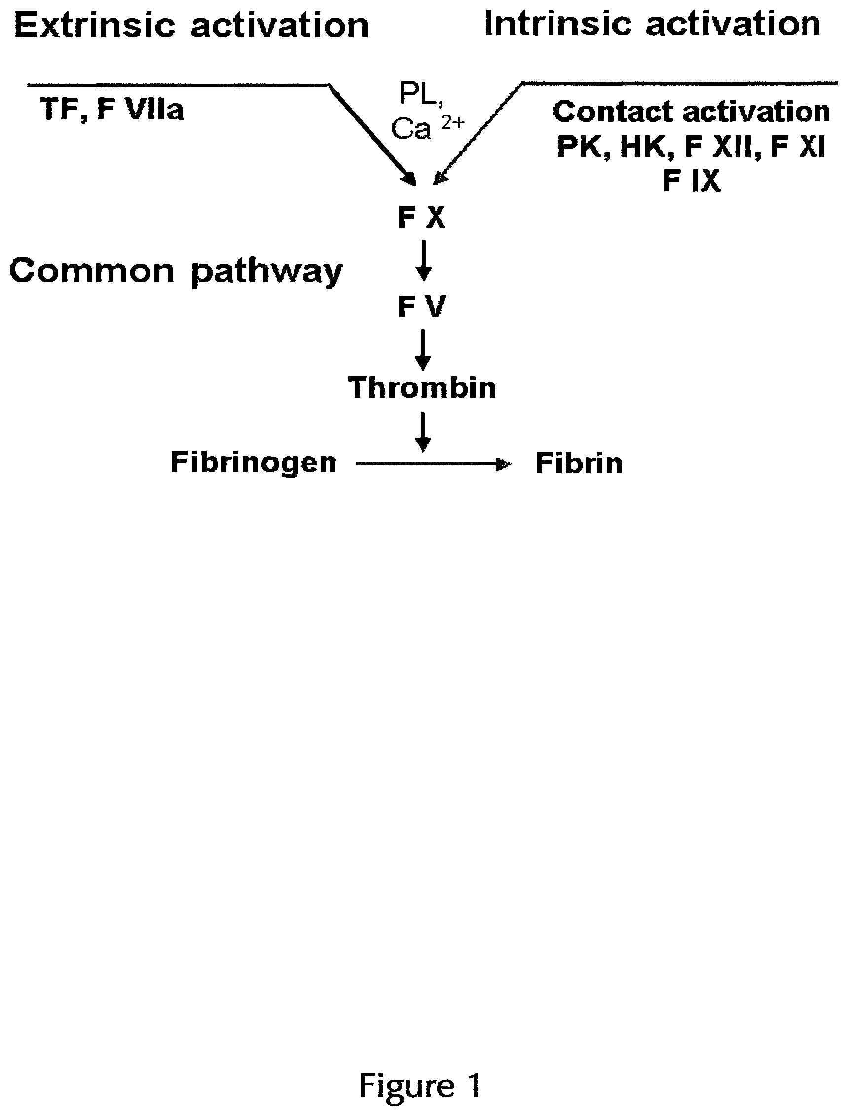 Patent US12496585 — Coated articles for blood coagulation testing and methods of preparing the same — Figure 1