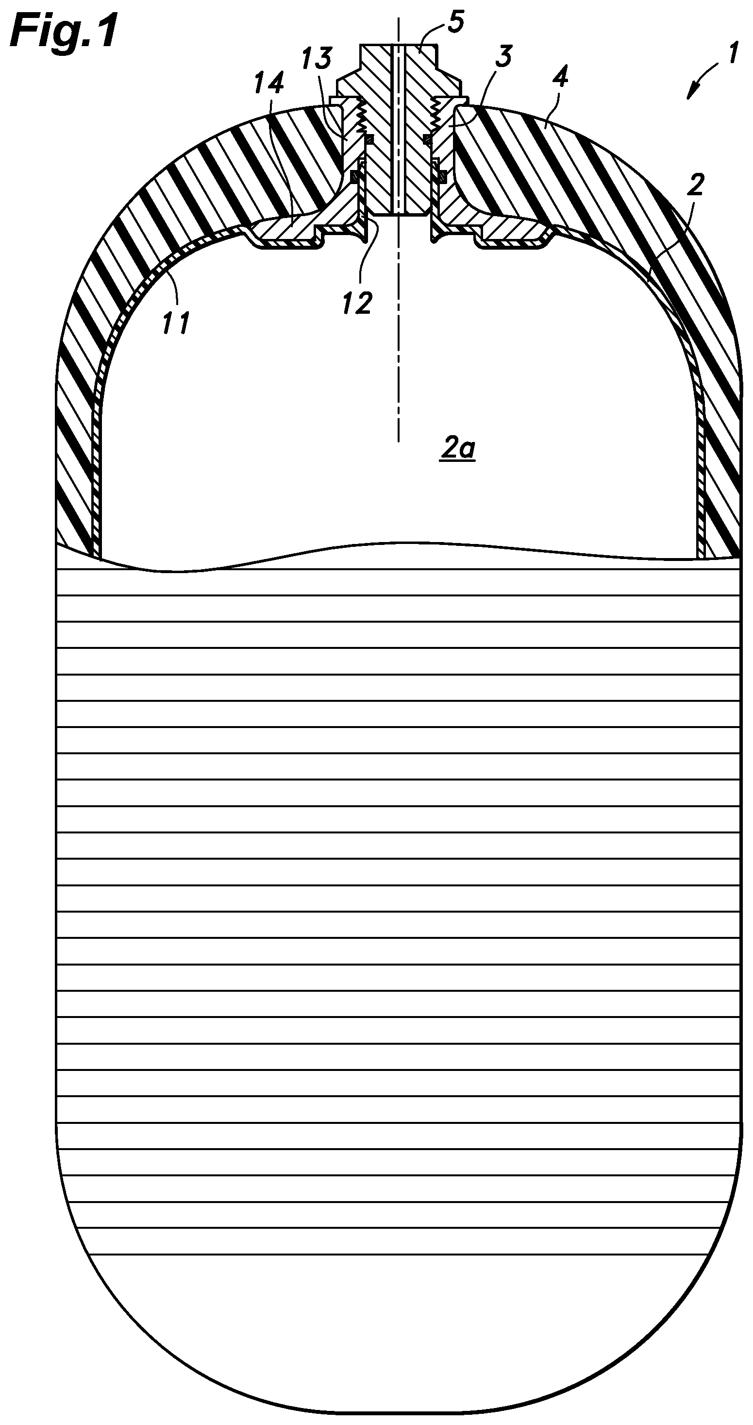 Patent US12496763 — Blow molding device and manufacturing method of resin liner for pressure vessel using the same — Figure 1