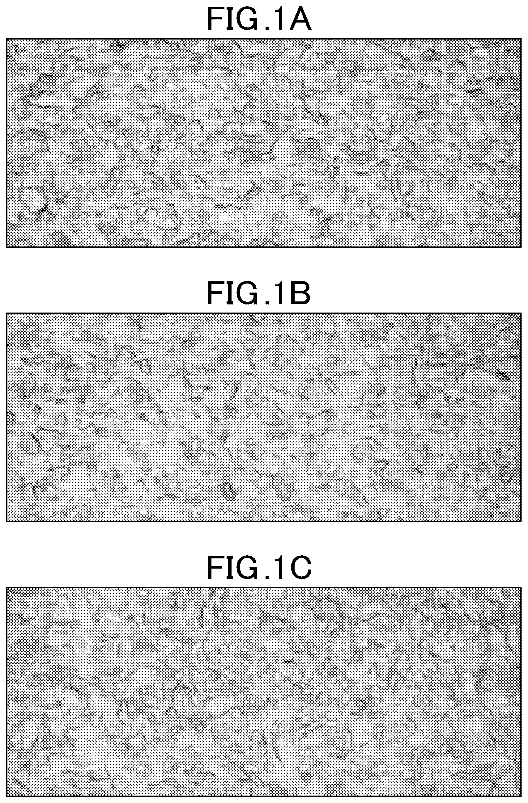 Patent US12496826 — Inkjet head nozzle plate, manufacturing method therefor, inkjet head, and inkjet recording device — Figure 1