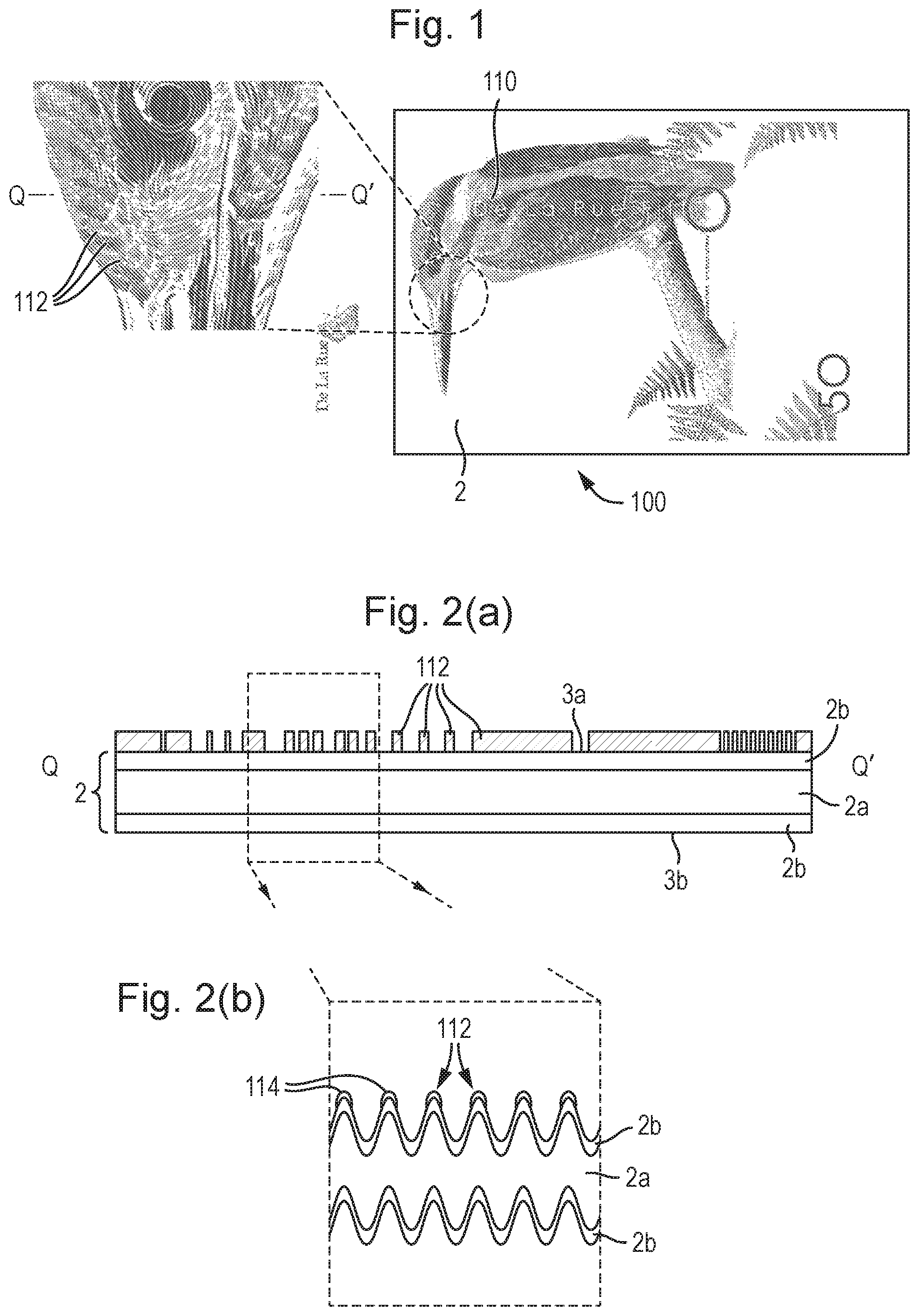 Patent US12496847 — Security devices and method of manufacture thereof — Figure 1