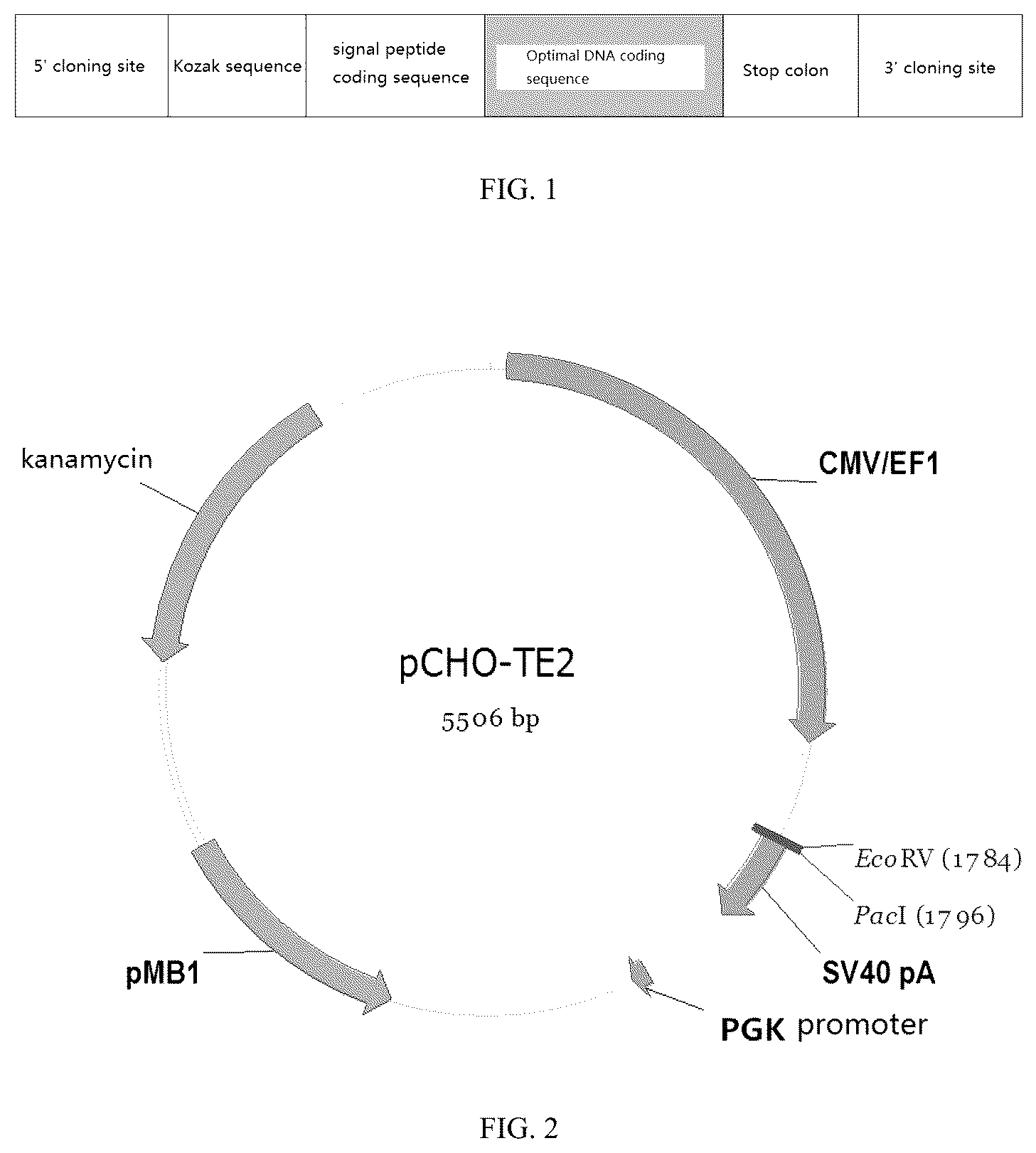 Patent US12497456 — Bispecific recombinant protein and use thereof — Figure 1