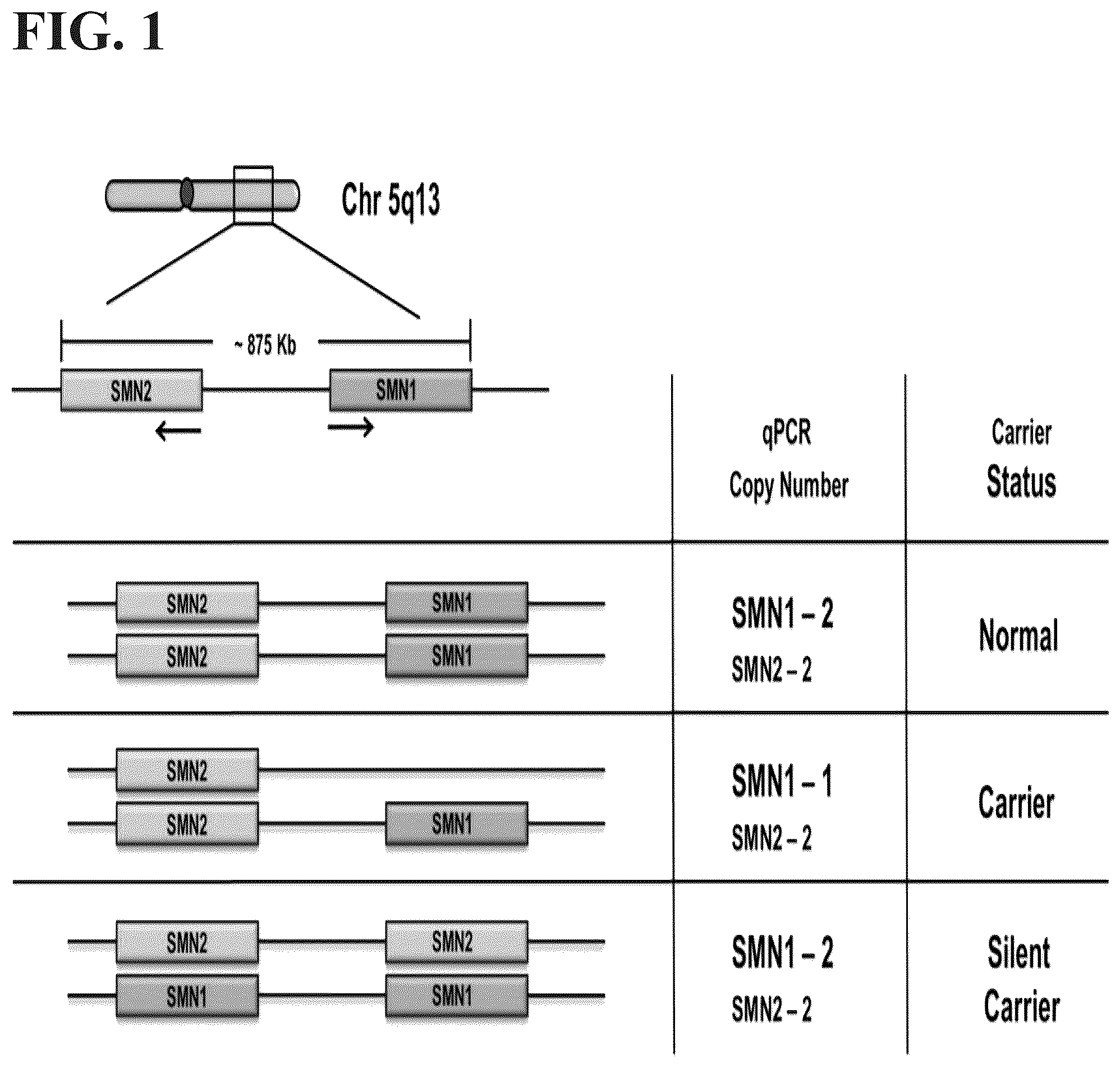 Patent US12497658 — Methods to detect a silent carrier genotype — Figure 1