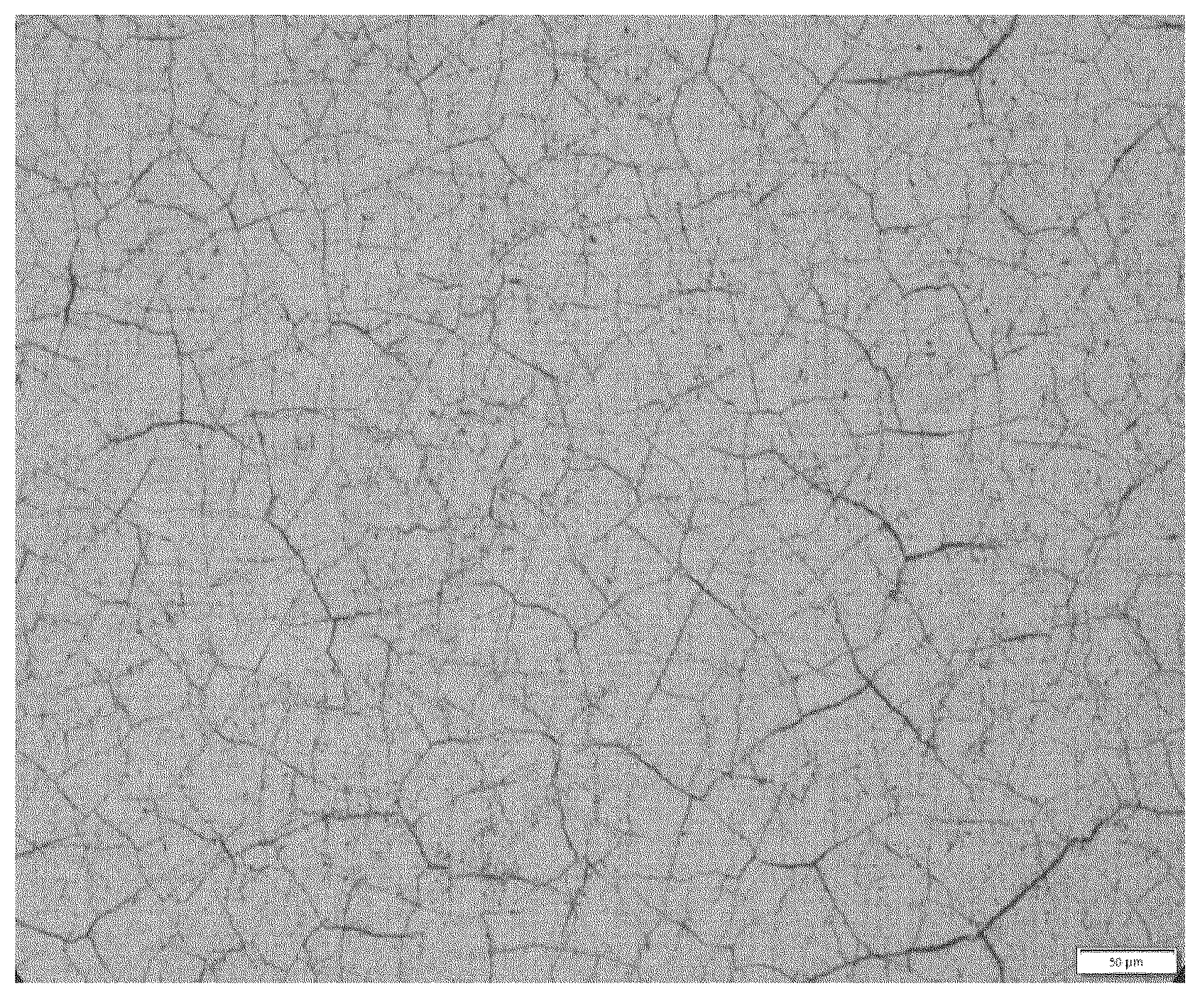 Patent US12504074 — Piston ring having a wear protection layer containing particles, method for production and use — Figure 1