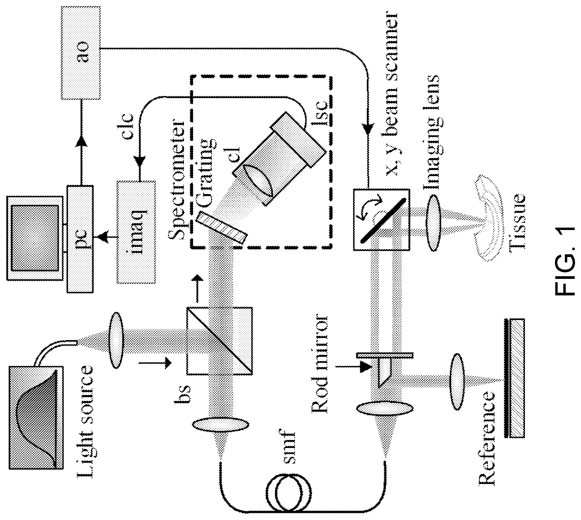 Patent US12504371 — System and method of dynamic micro-optical coherence tomography for mapping cellular functions — Figure 1