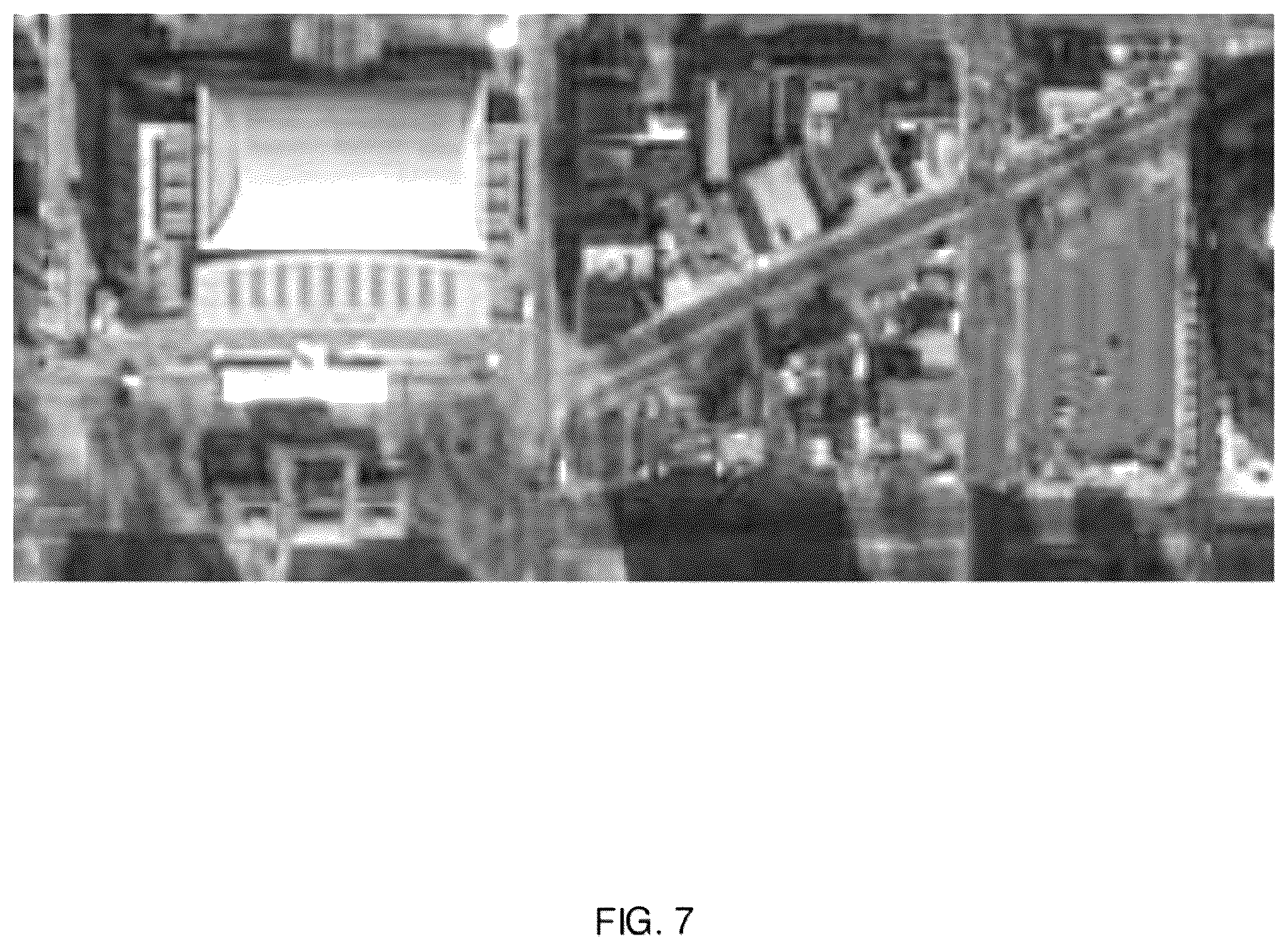 Patent US12504950 Figure 7 – Processing with compact arithmetic processing element