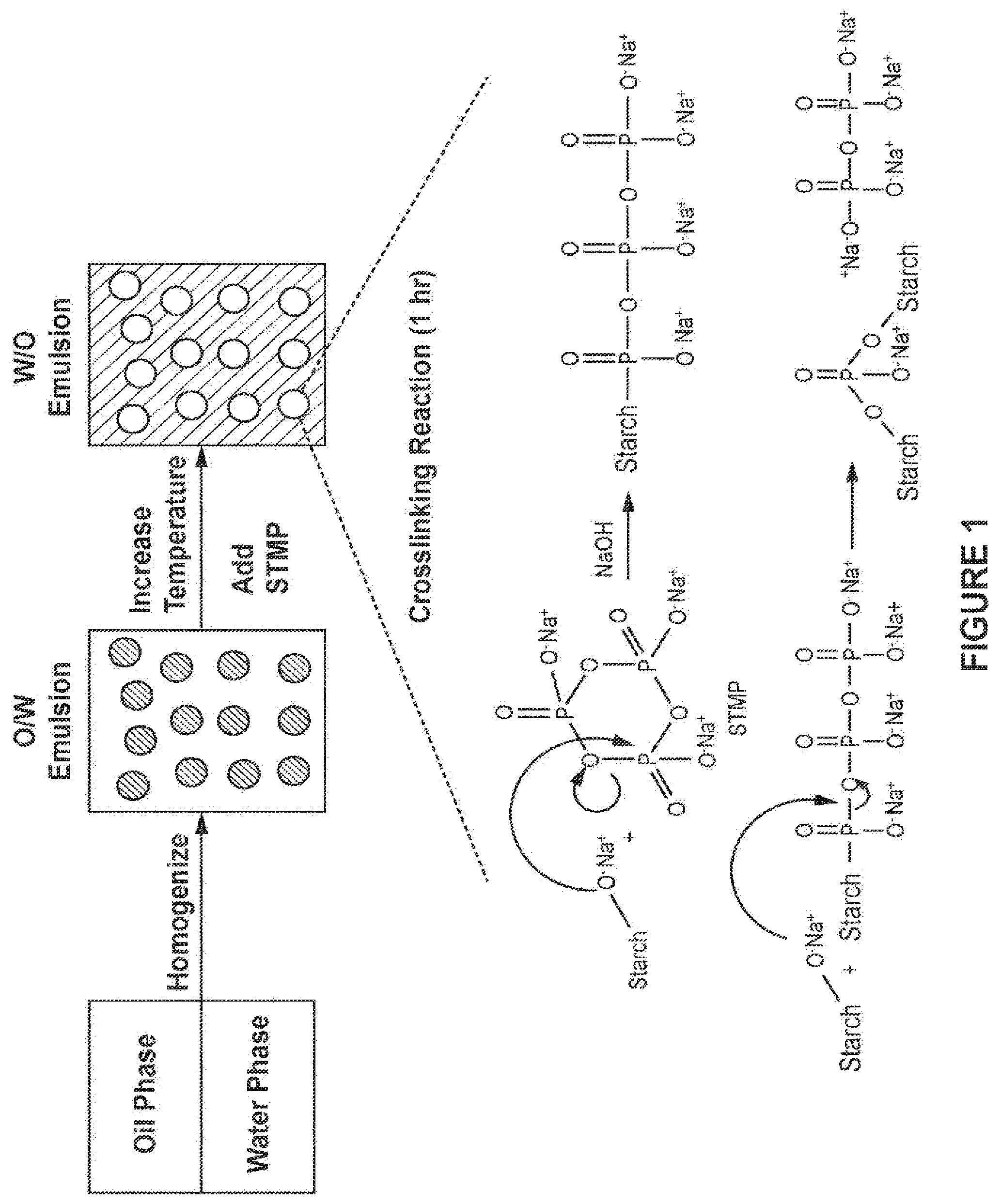 Patent US12508212 — Phosphate crosslinked starch nanoparticle and dental treatments — Figure 1