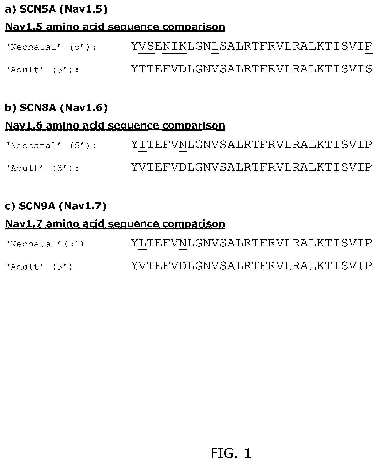 Patent US12508260 — Combination treatments — Figure 1