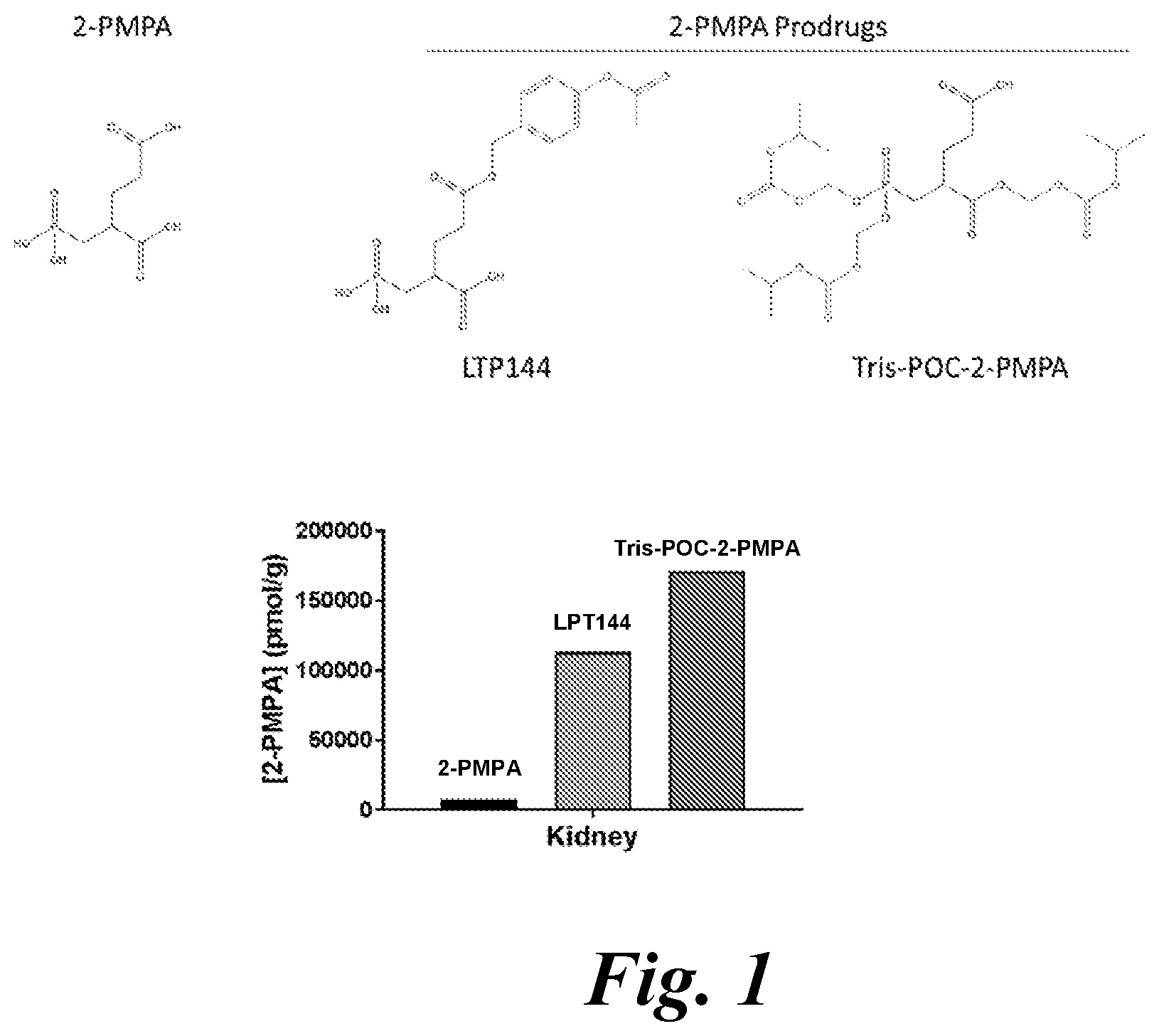 Patent US12508271 Figure 1 – Prodrugs of 2-PMPA for healthy tissue protection during PSMA-targeted cancer imaging or radiotherapy