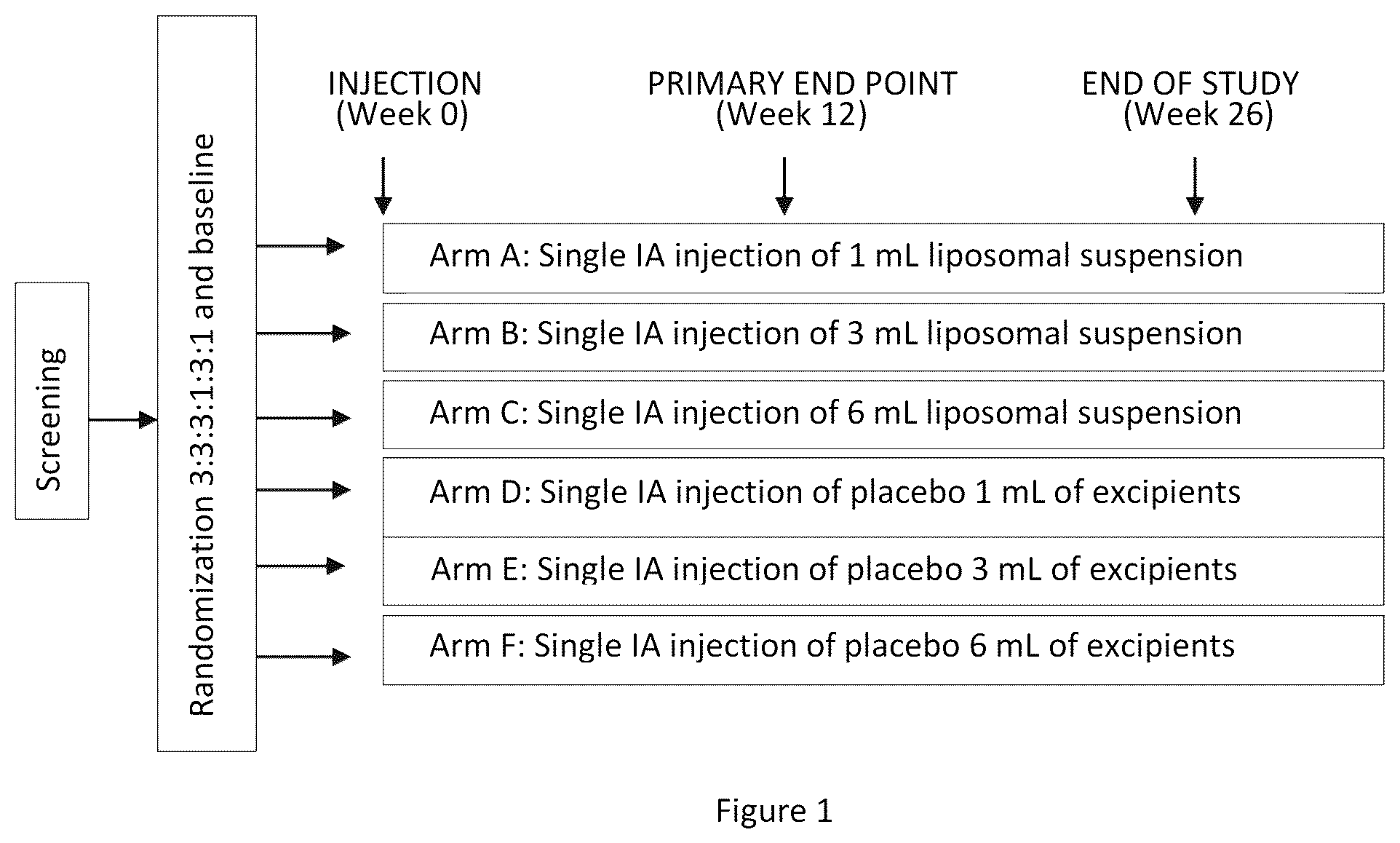 Patent US12508272 — Long-acting liposomal composition for treatment of pain in articular disorders — Figure 1