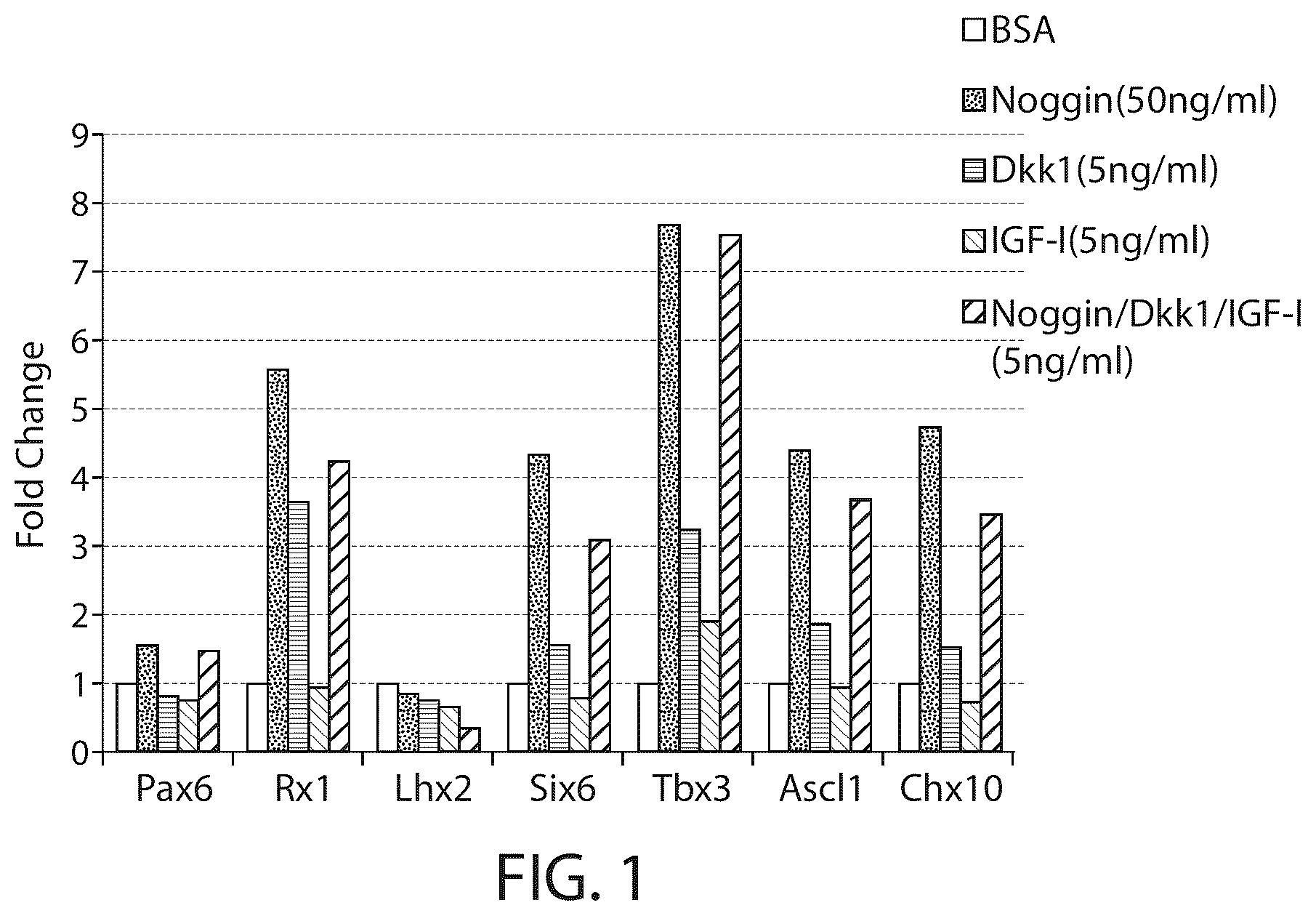 Patent US12508284 — Photoreceptors and photoreceptor progenitors produced from pluripotent stem cells — Figure 1
