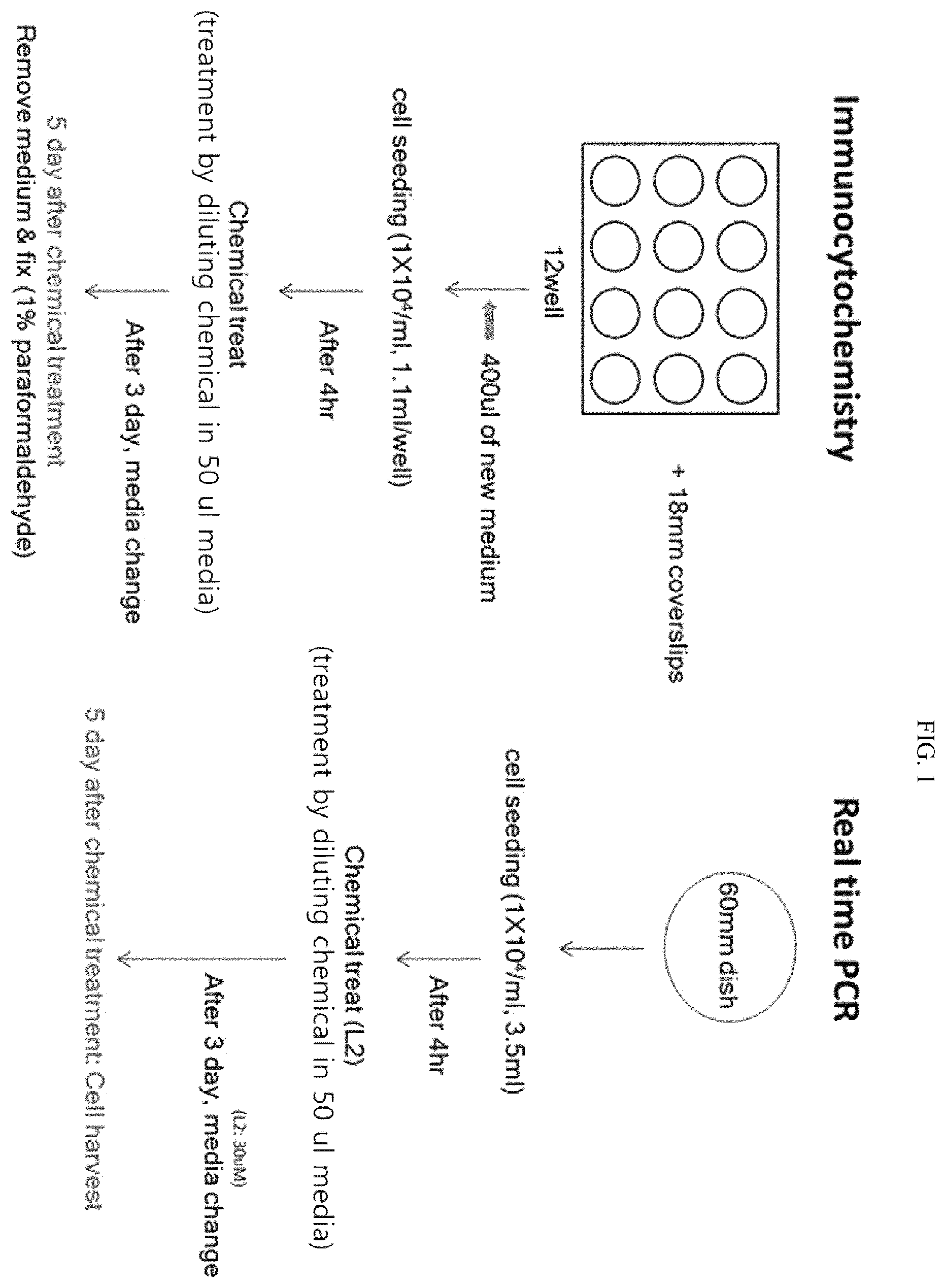 Patent US12508286 — Composition for treating spinal cord injury, comprising stem cells treated with novel compound — Figure 1