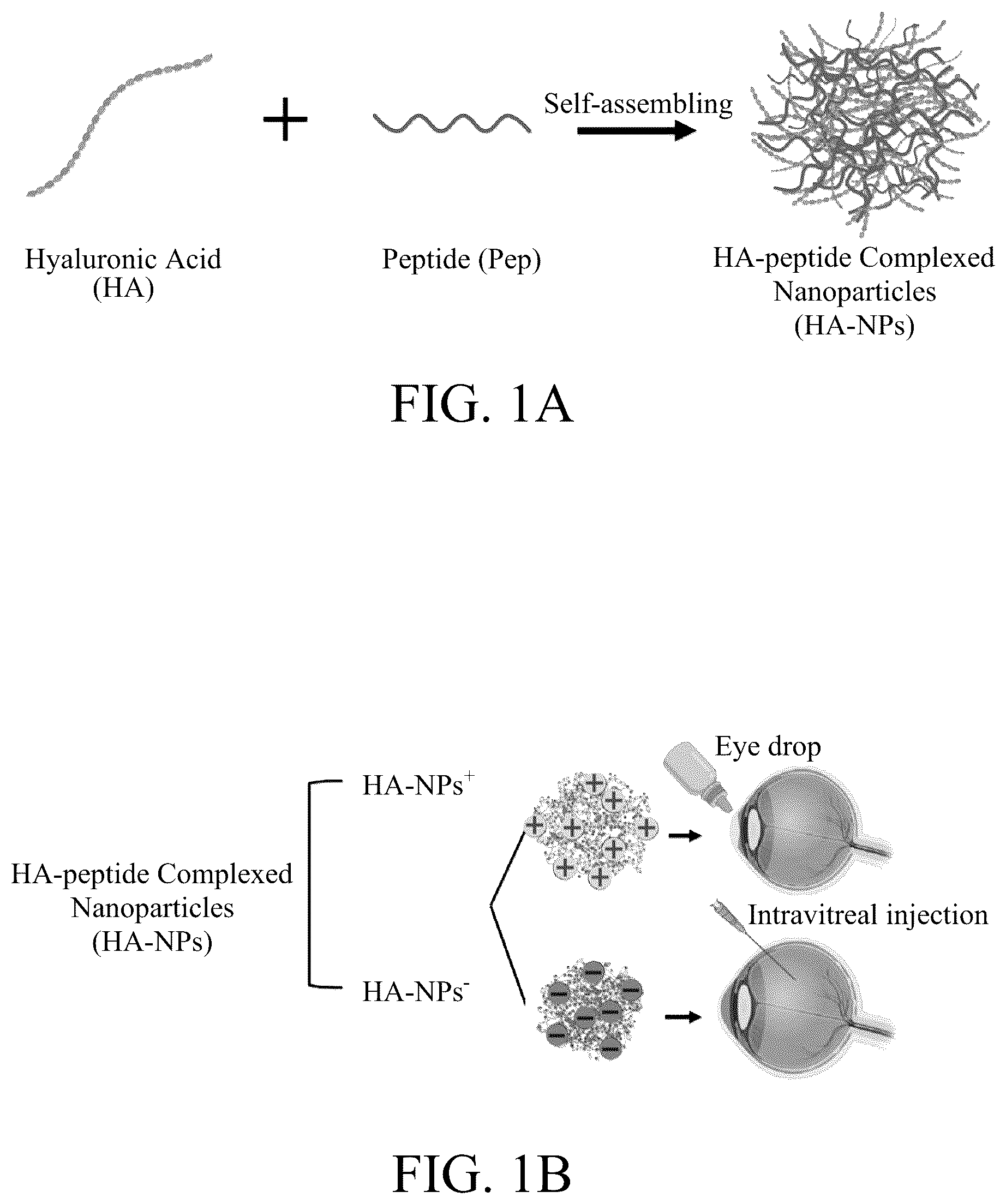 Patent US12508294 — Self-assembled nanoparticle and use thereof for anti-angiogenesis — Figure 1