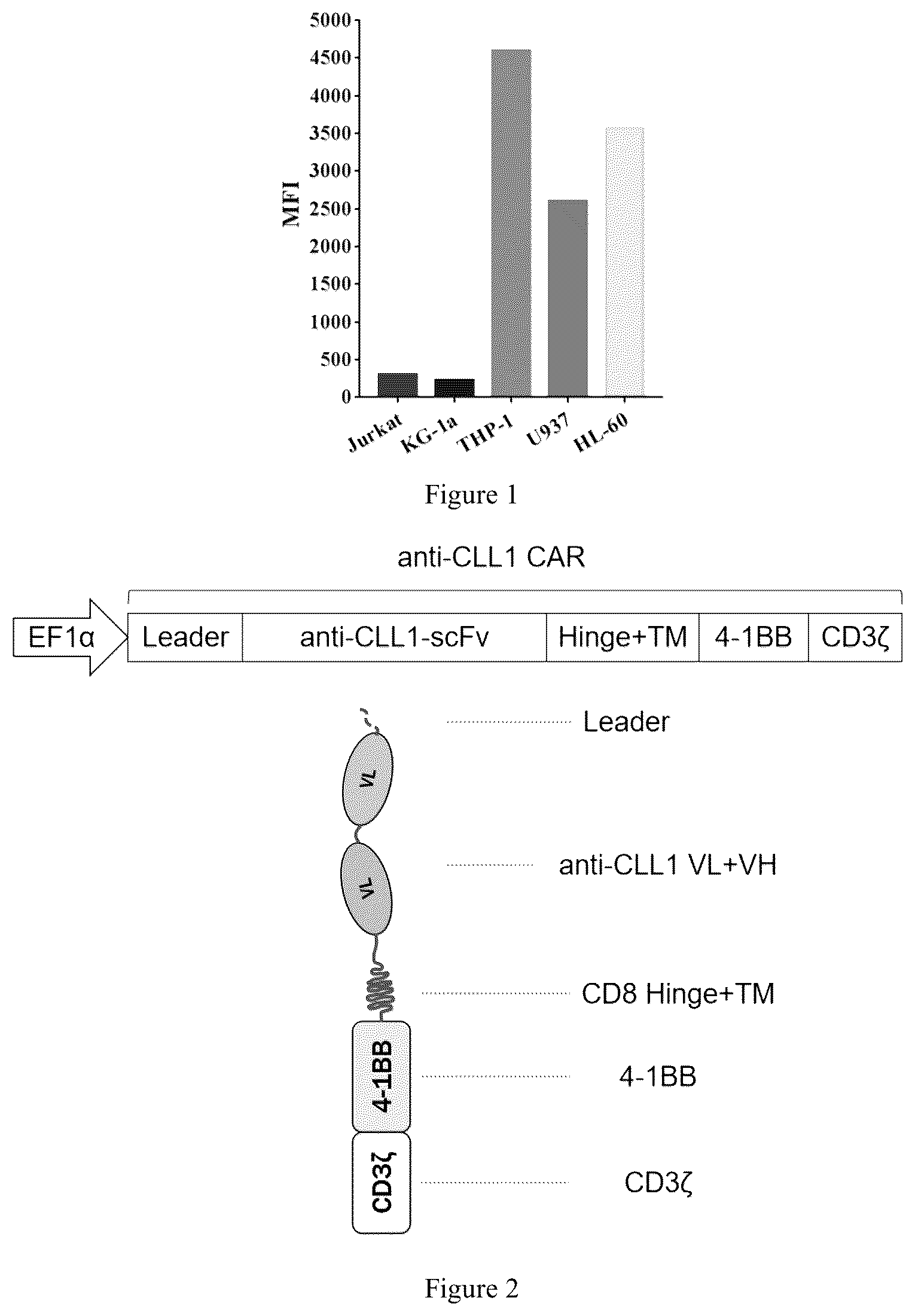 Patent US12508312 — Chimeric antigen receptor targeting CLL1 and use thereof — Figure 1