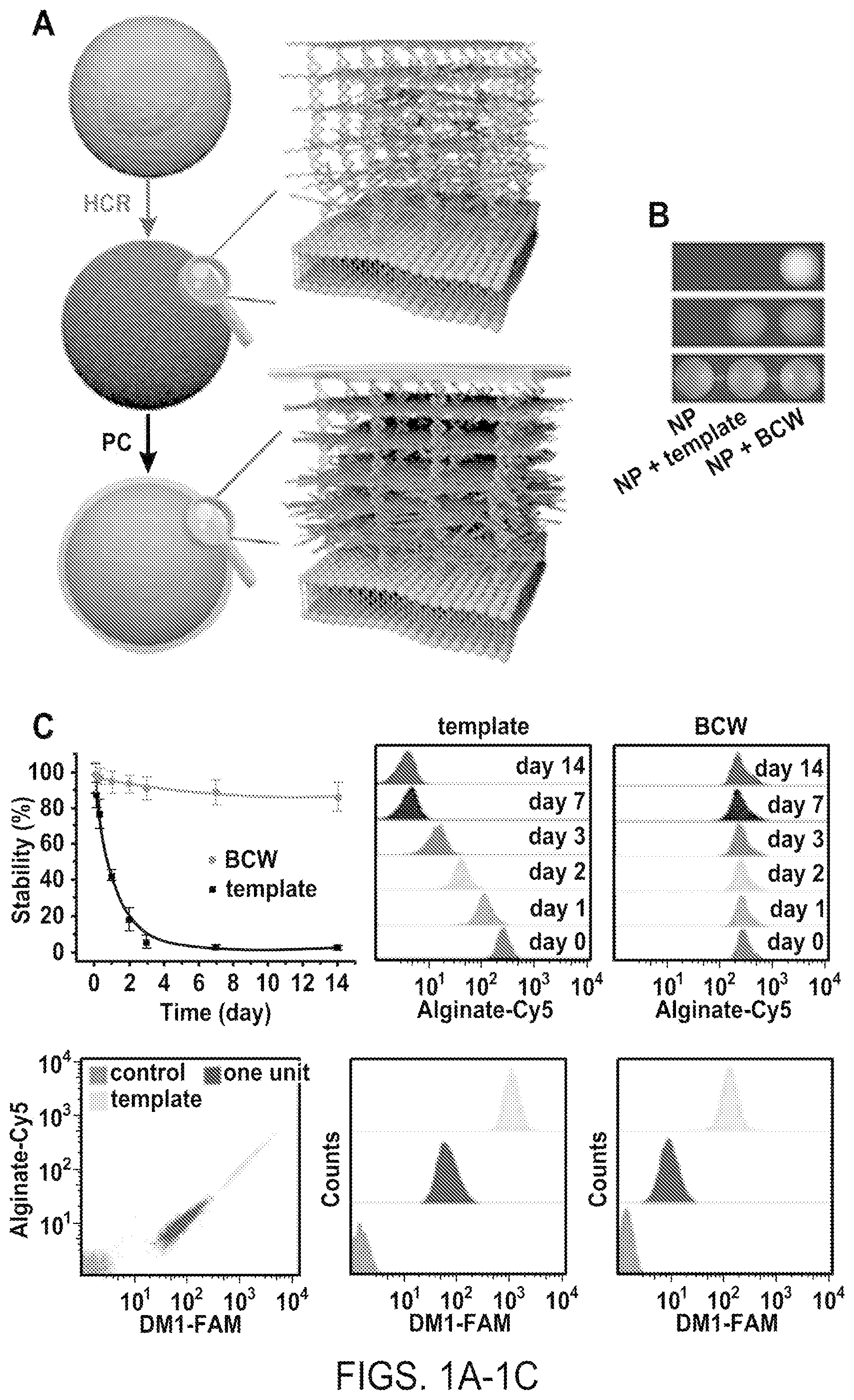 Patent US12508316 — Synthesis of biomimetic cell wall structure — Figure 1