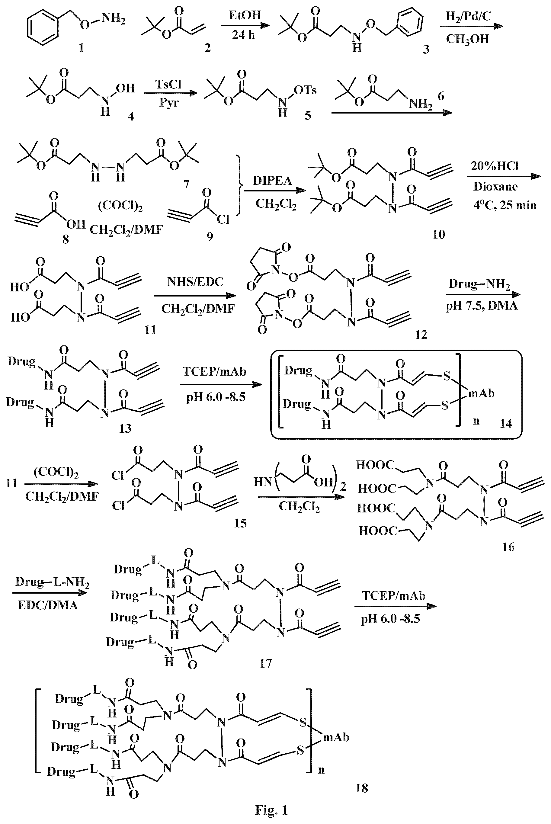 Patent US12508321 Figure 1 – Conjugation linkers, cell binding molecule-drug conjugates containing the linkers, methods of making and uses such conjugates with the linkers
