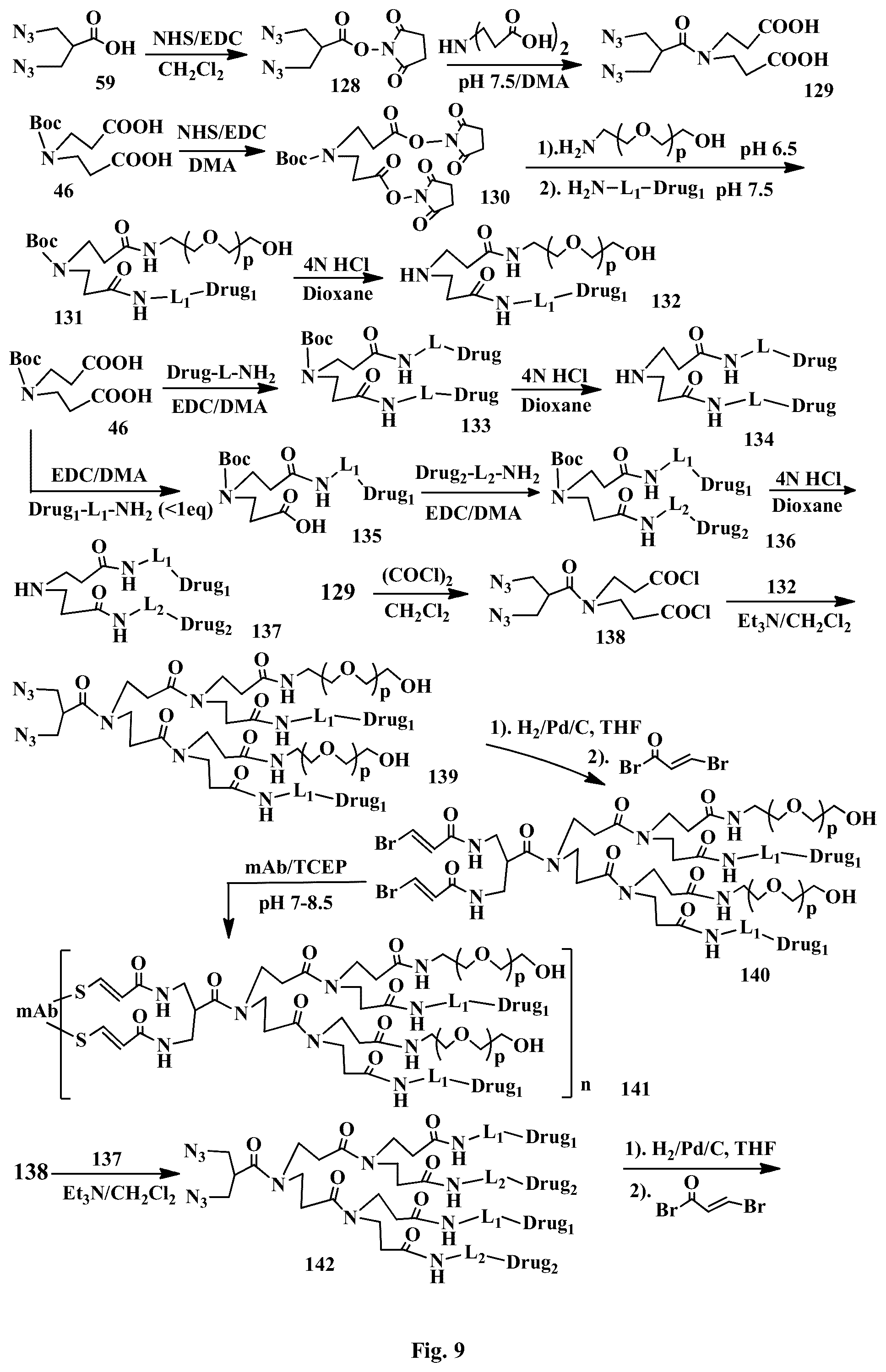 Patent US12508321 Figure 9 – Conjugation linkers, cell binding molecule-drug conjugates containing the linkers, methods of making and uses such conjugates with the linkers