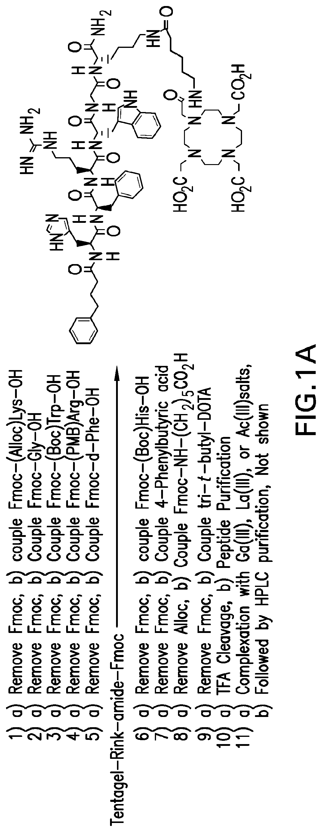 Patent US12508329 — Radiotherapeutic and companion imaging agents to target MC1R — Figure 1