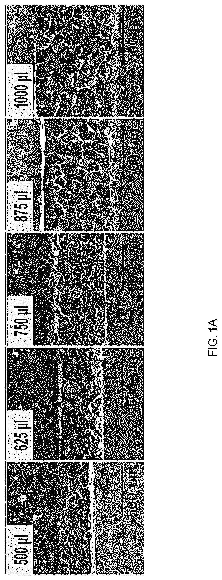 Patent US12508408 — Chitosan porous structure-based magnetically actuated microrobot — Figure 1