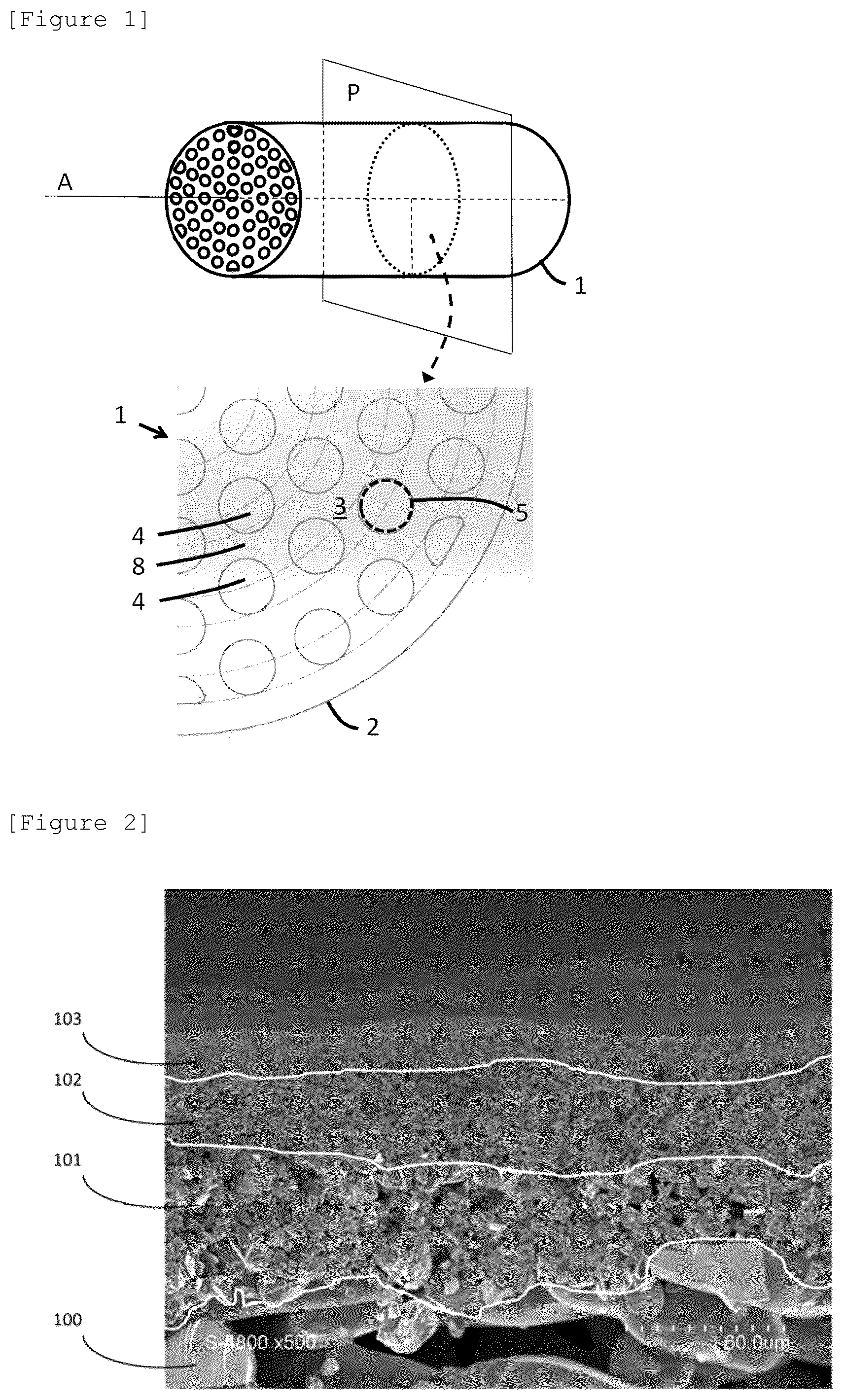 Patent US12508552 — Filter comprising a silicone carbide separator layer — Figure 1