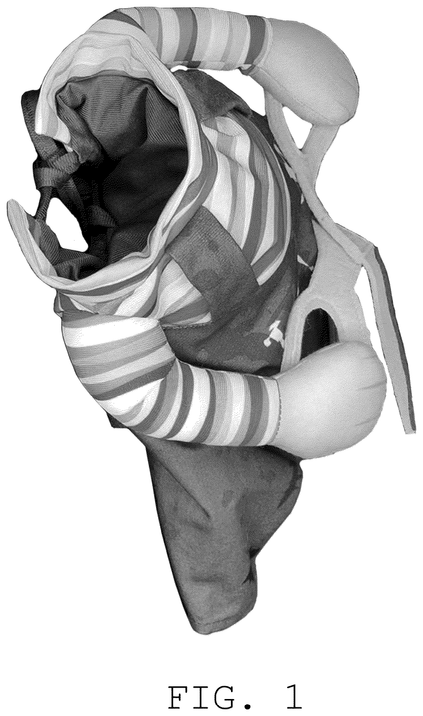 Patent USD1076269 — Pet costume — Figure 1