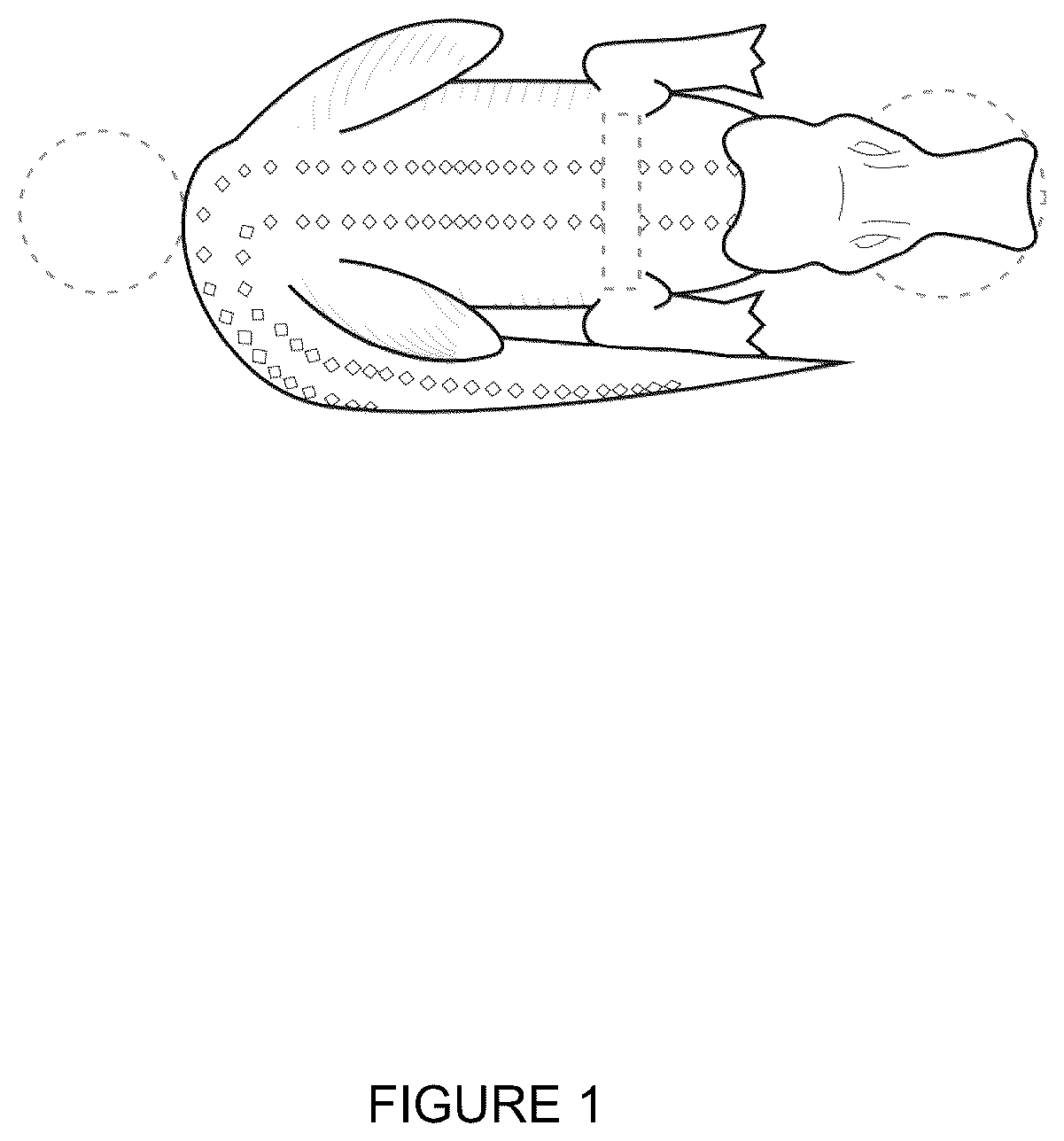 Patent USD1076543 — Coffee machine — Figure 1