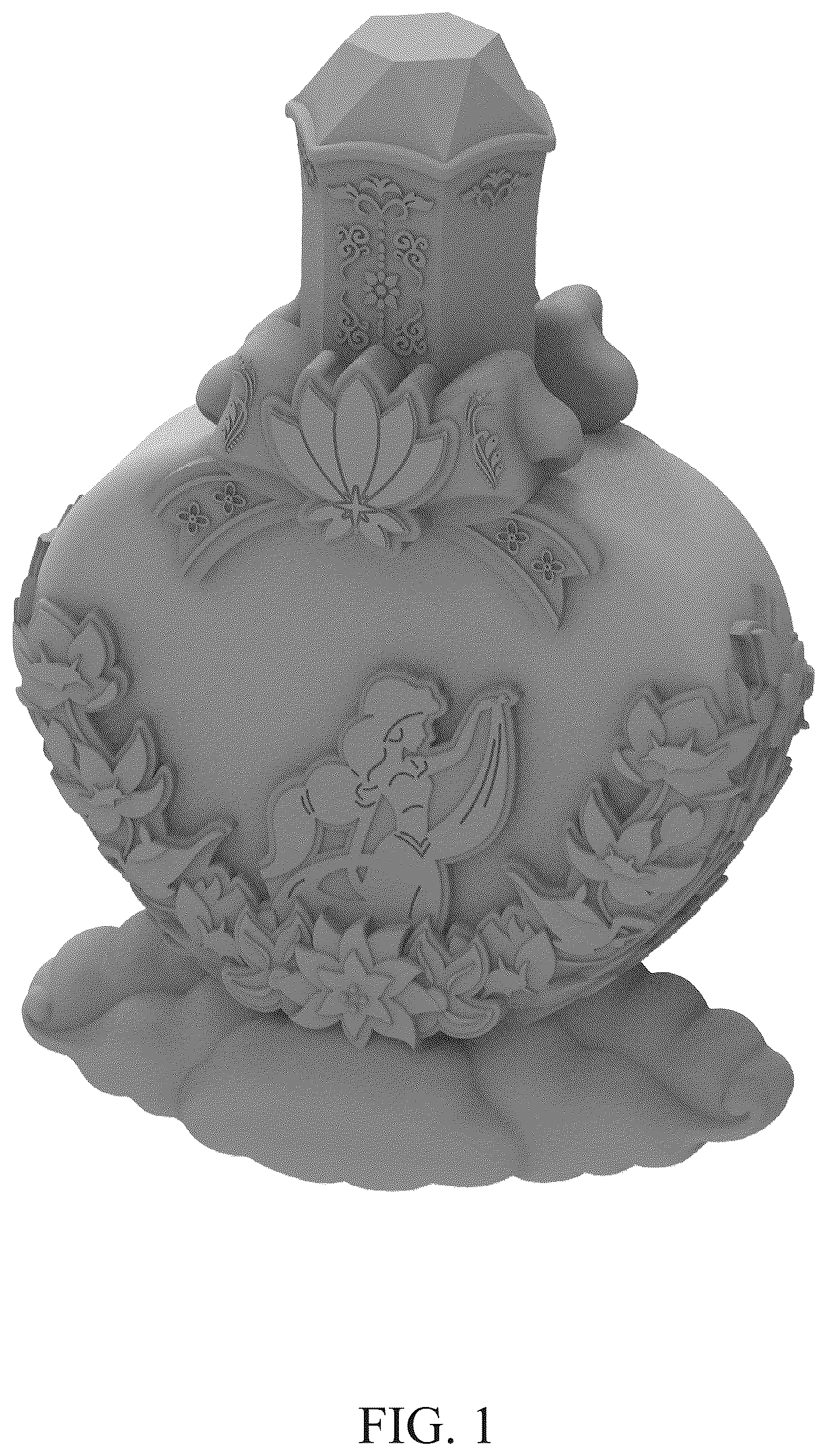 Patent USD1077059 — Toy perfume bottle — Figure 1