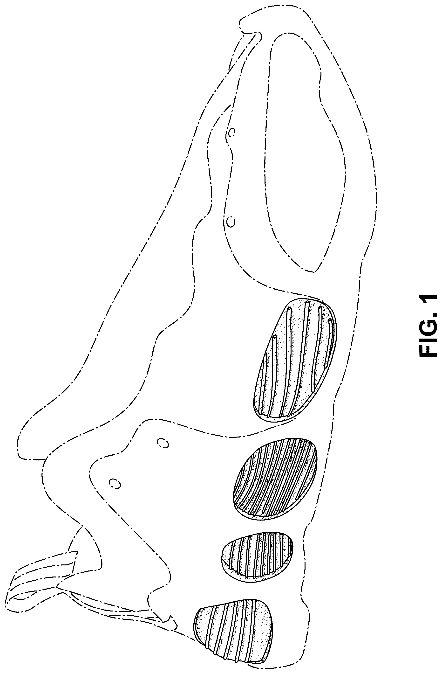 Patent USD1077433 — Shoe — Figure 1