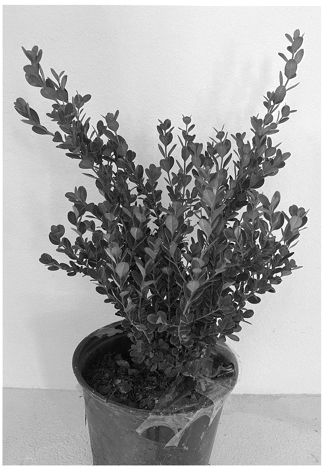Patent USPP036691 — Buxus plant named ‘WINTER ROCKET’ — Figure 1