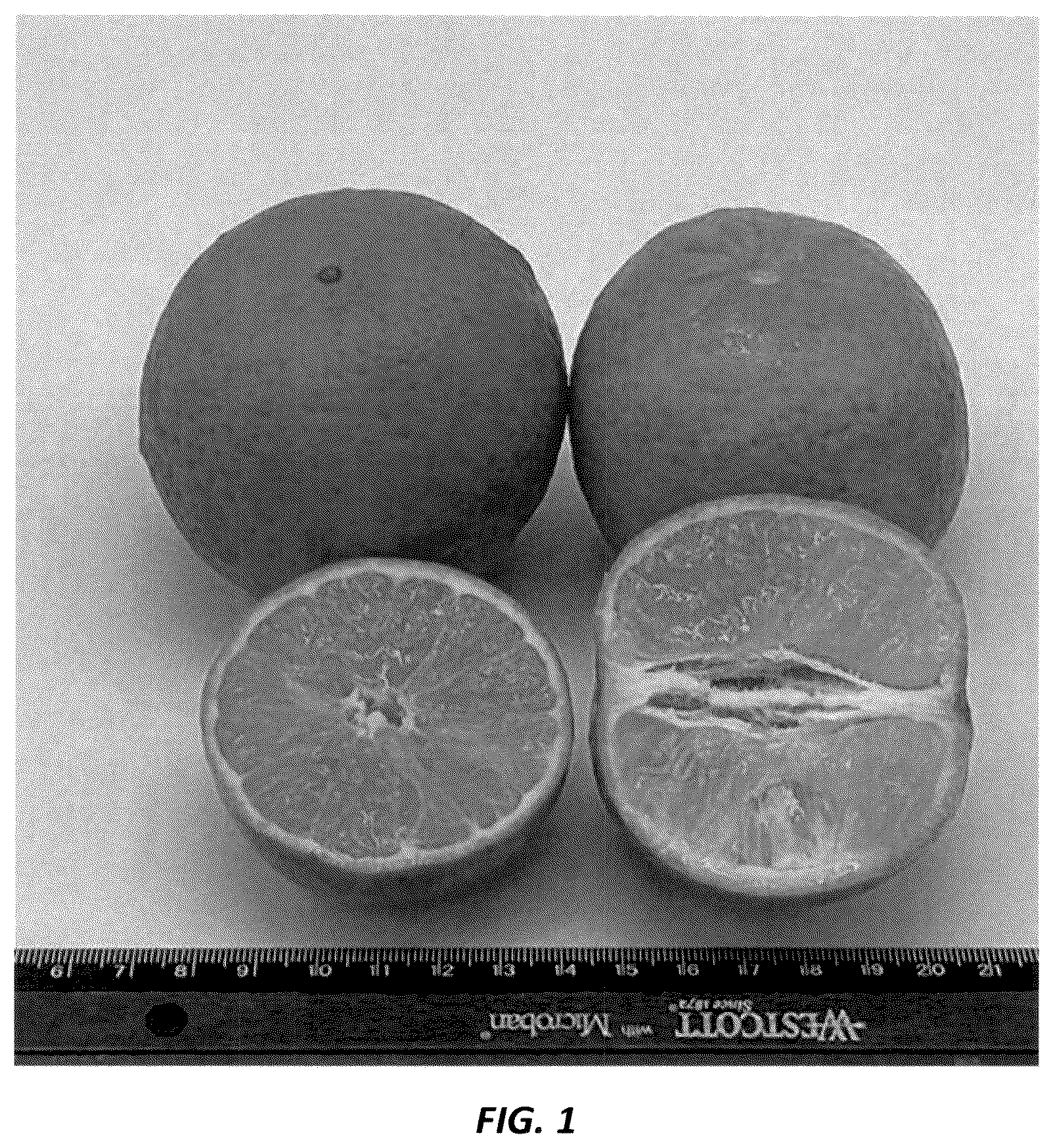 Patent USPP036728 — Mandarin plant named ‘N40W-5-1’ — Figure 1