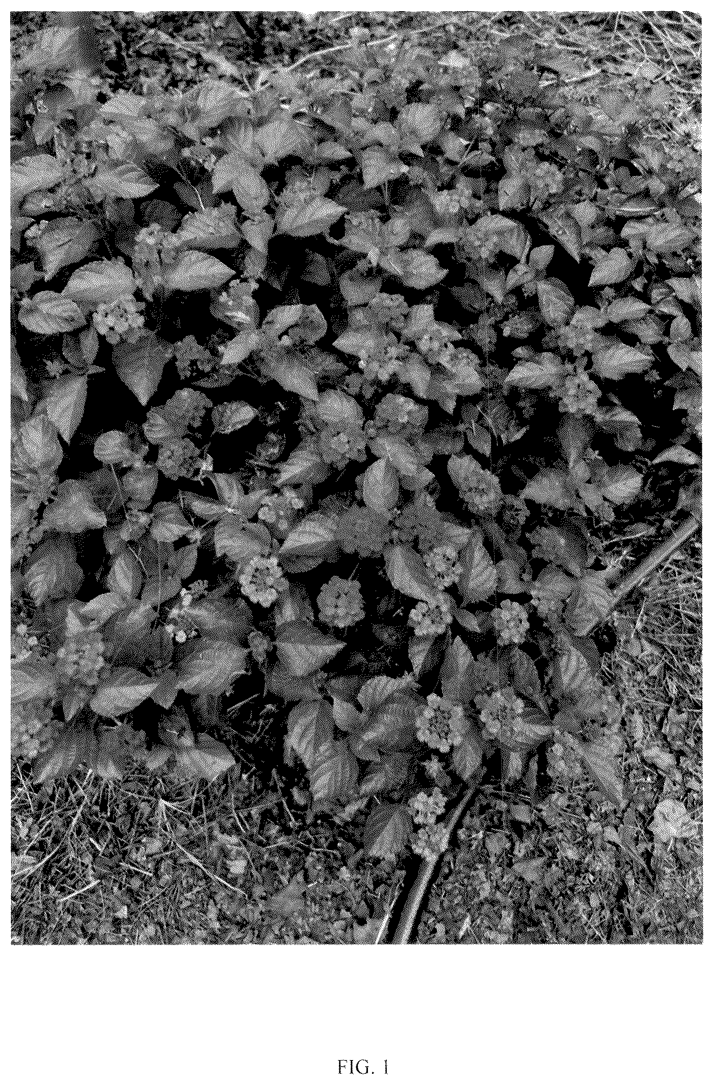Patent USPP036733 — Lantana plant named ‘RHLC2019’ — Figure 1