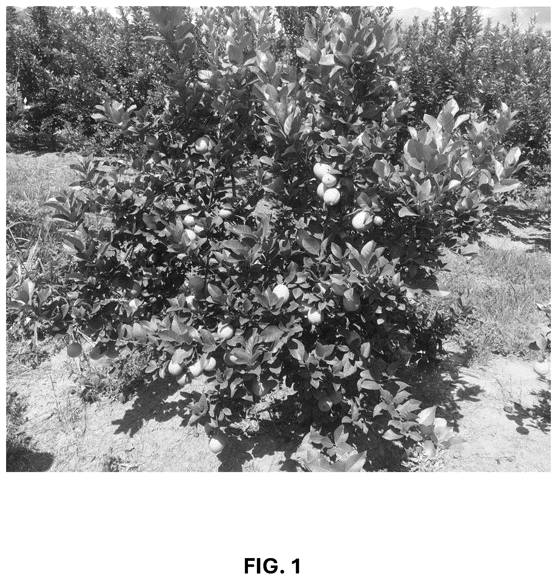 Patent USPP036742 — Lemon plant named ‘CE-D5-1-9-42’ — Figure 1