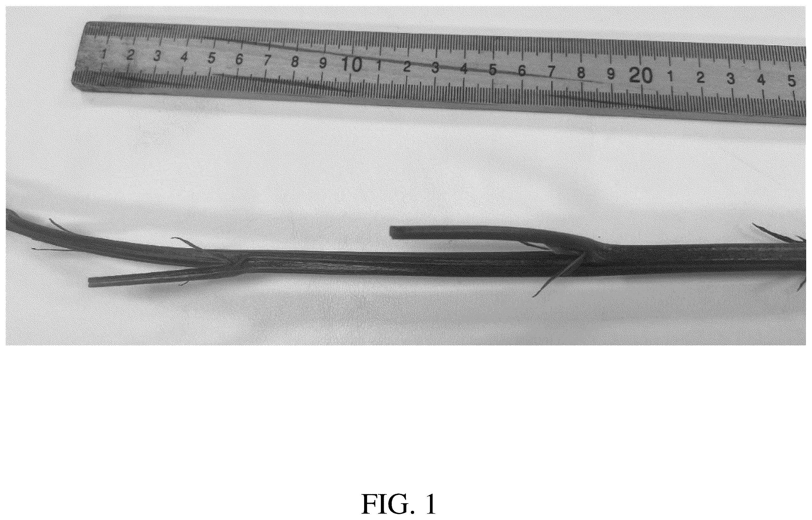 Patent USPP036782 — Blackberry plant named ‘DrisBlackThirtyFive’ — Figure 1
