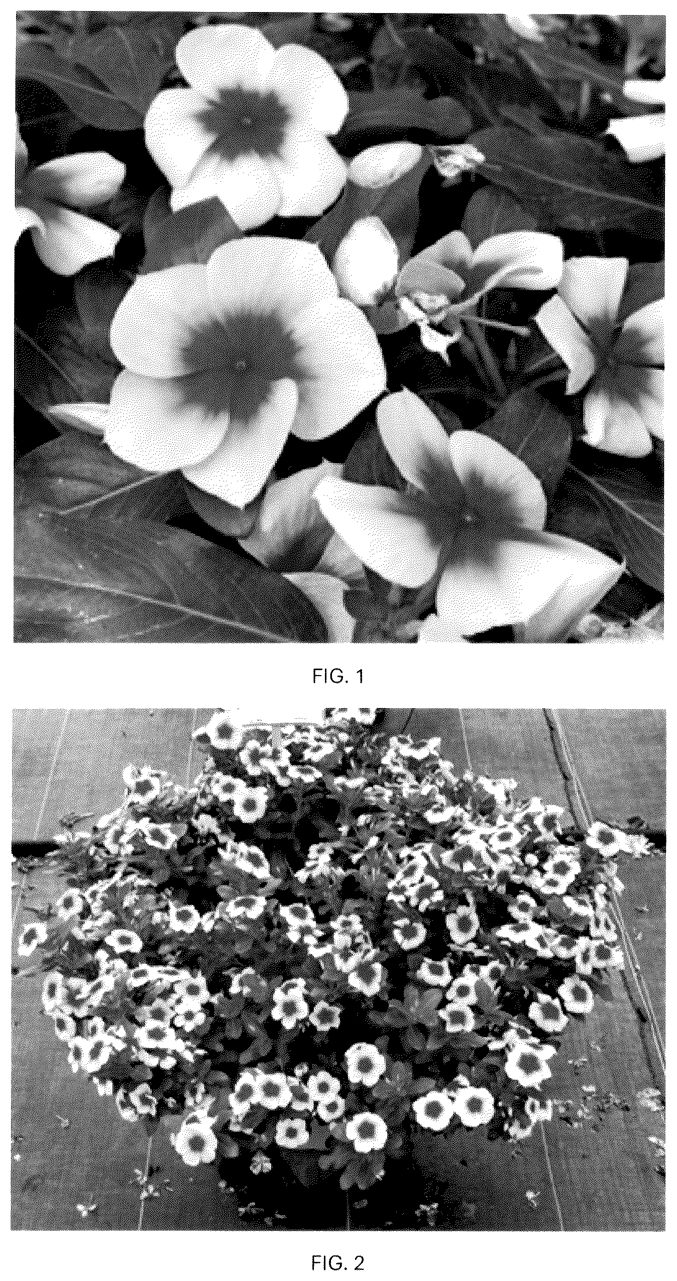 Patent USPP036791 — Catharanthus plant named ‘CARZ0004’ — Figure 1