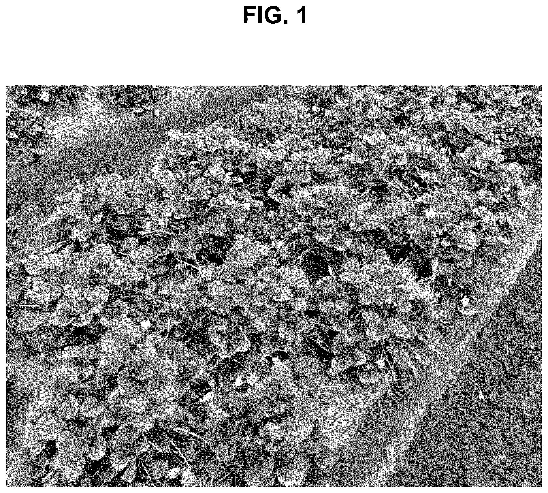 Patent USPP036822 — Strawberry plant named ‘BG-15.490.061’ — Figure 1