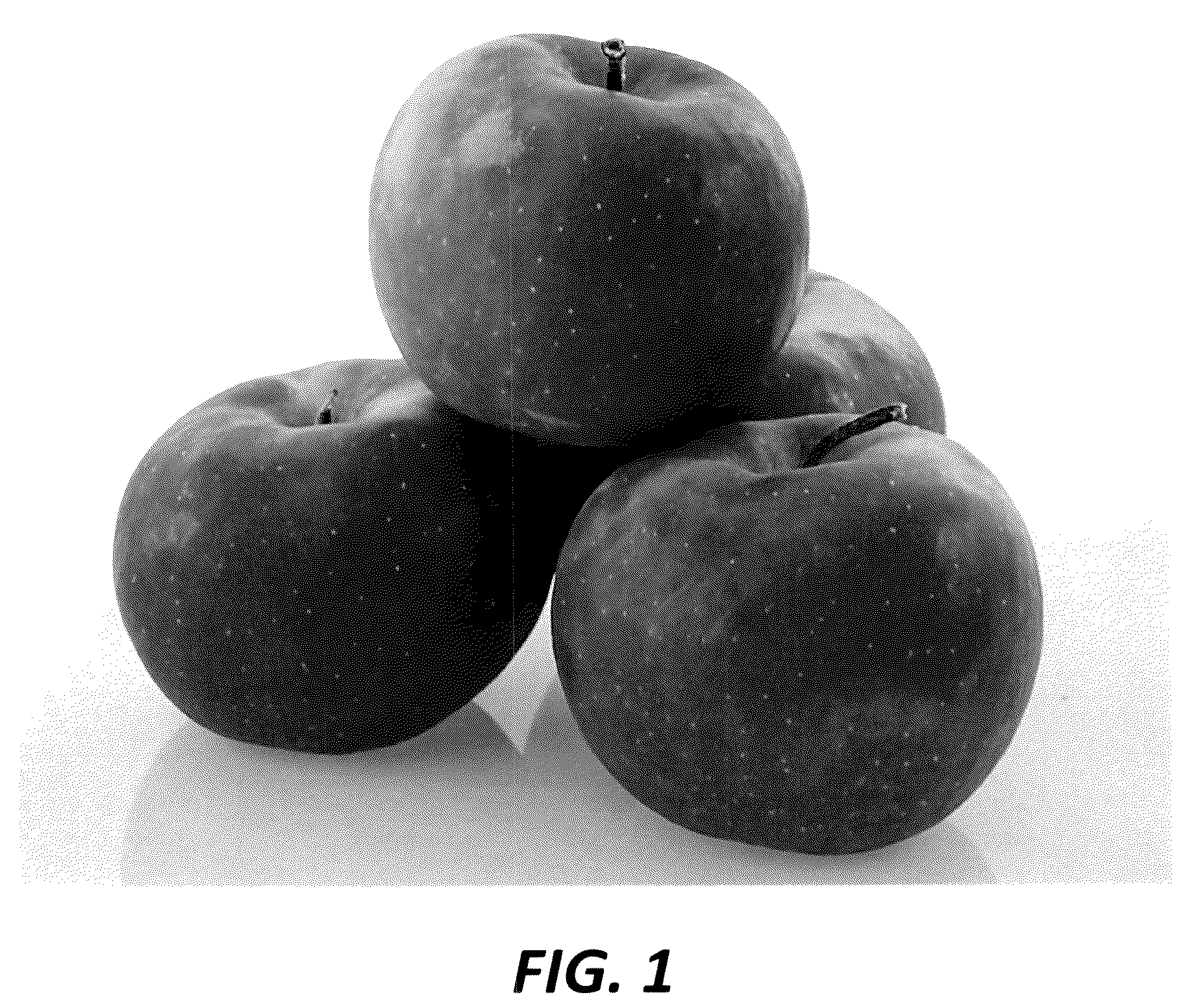 Patent USPP036839 Figure 1 – Apple tree named ‘PremA047’