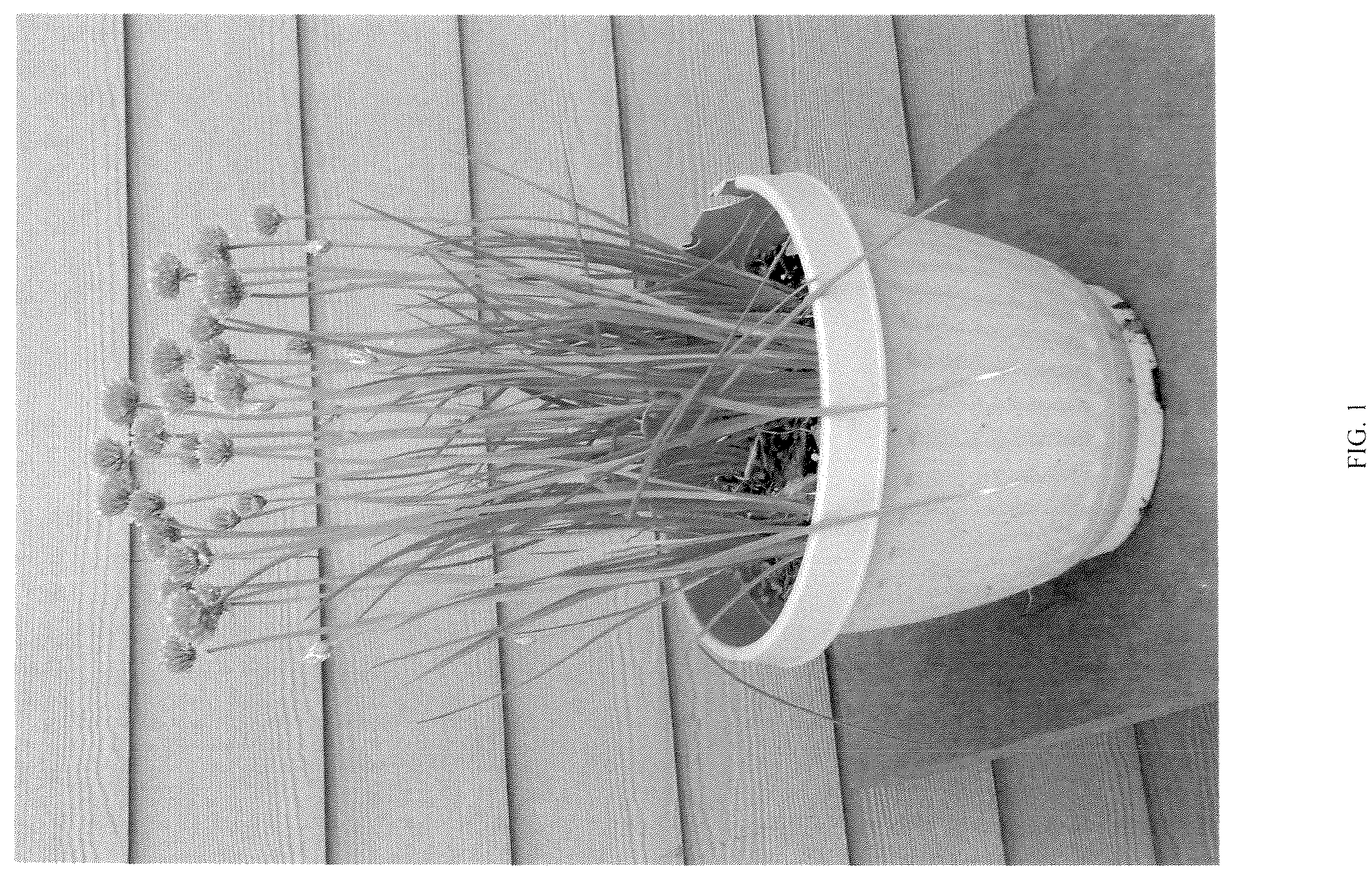Patent USPP036850 — Allium plant named ‘G22087’ — Figure 1