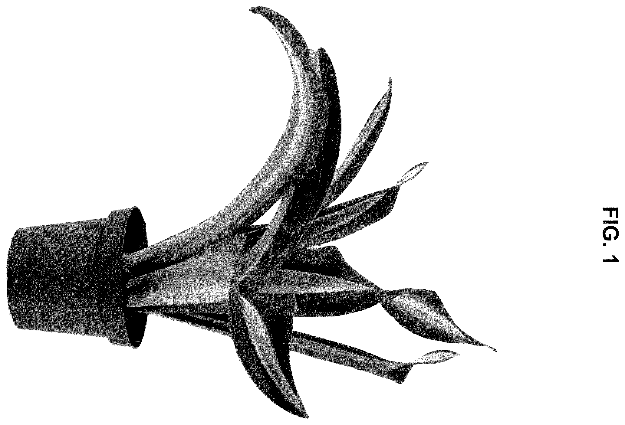 Patent USPP036857 — Sansevieria plant named ‘WHITE STAR’ — Figure 1