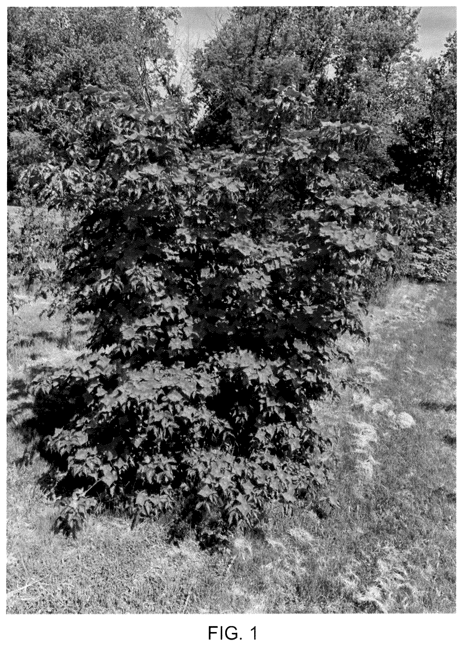 Patent USPP036985 — Cornus tree named ‘Rutglow’ — Figure 1
