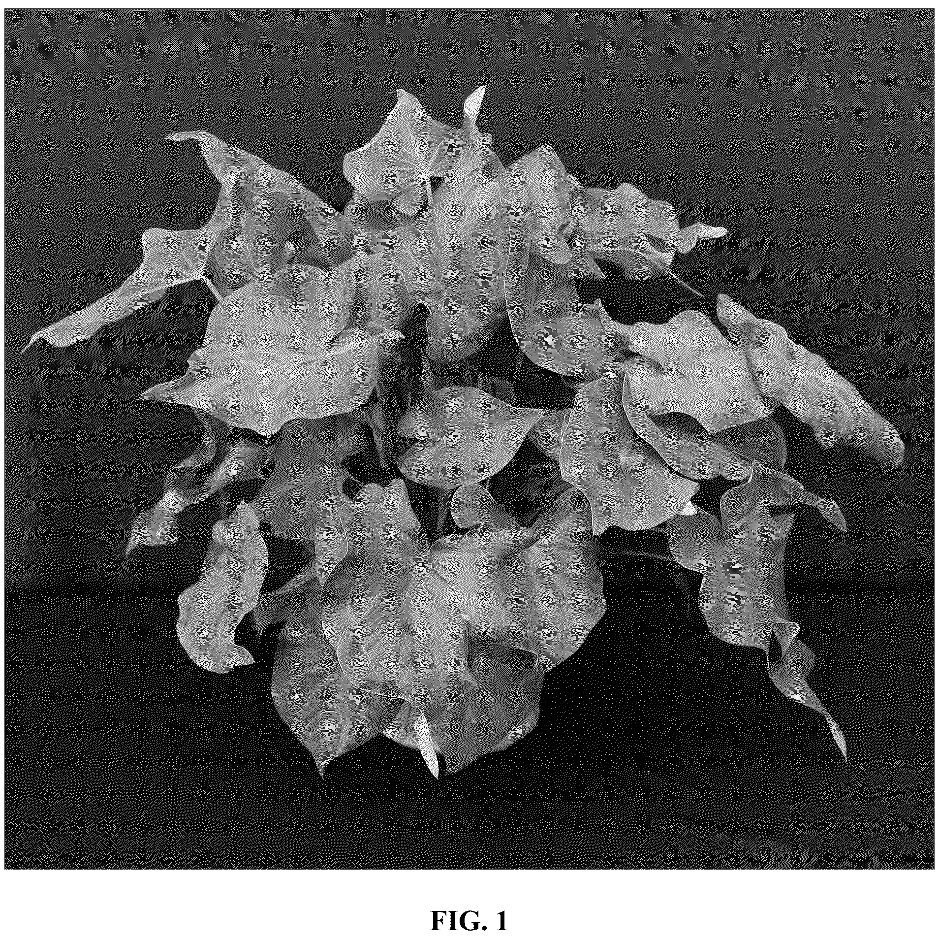 Patent USPP037055 — Caladium plant named ‘UF-15-30’ — Figure 1