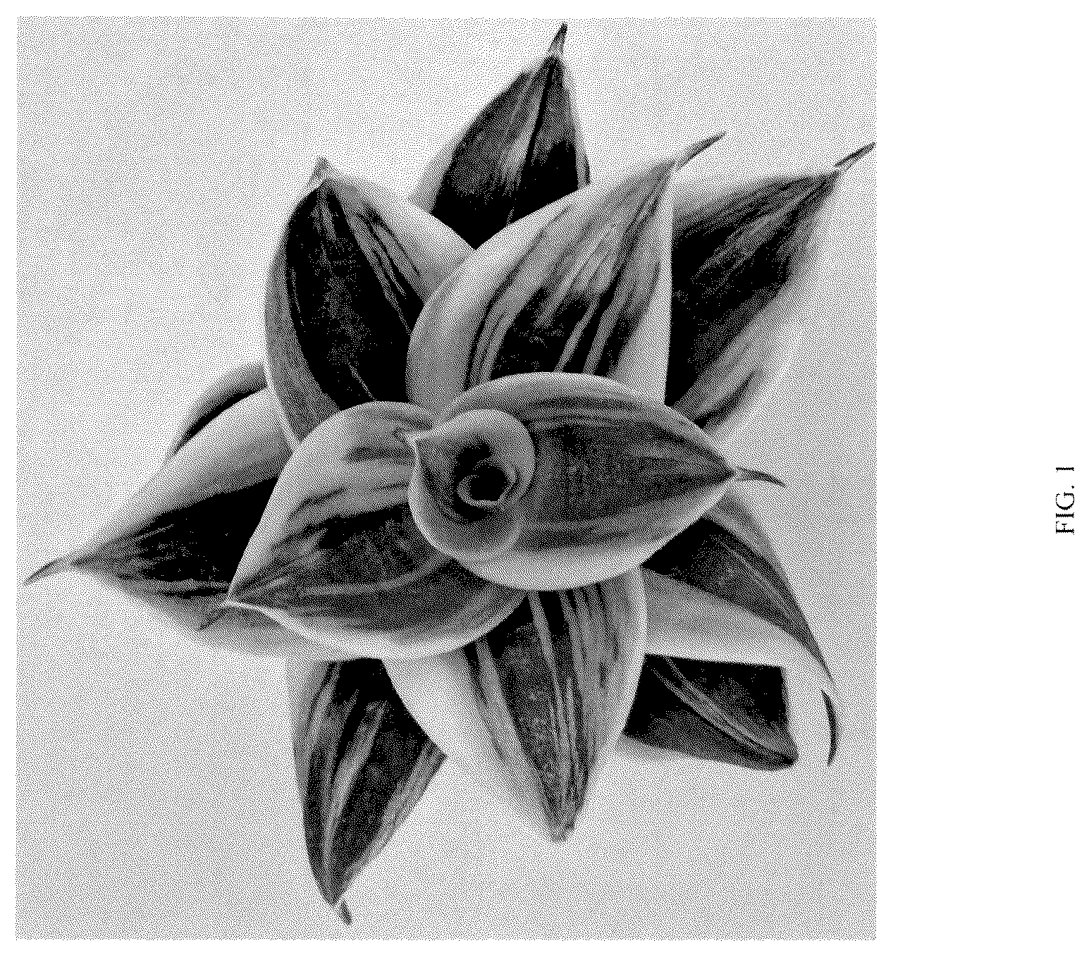 Patent USPP037058 — Sansevieria plant named ‘Hansoti46’ — Figure 1