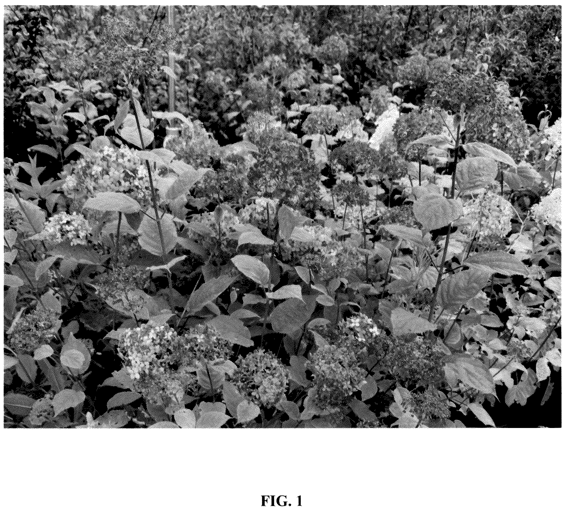 Patent USPP037070 — Hydrangea plant named ‘GRHYAR2008’ — Figure 1