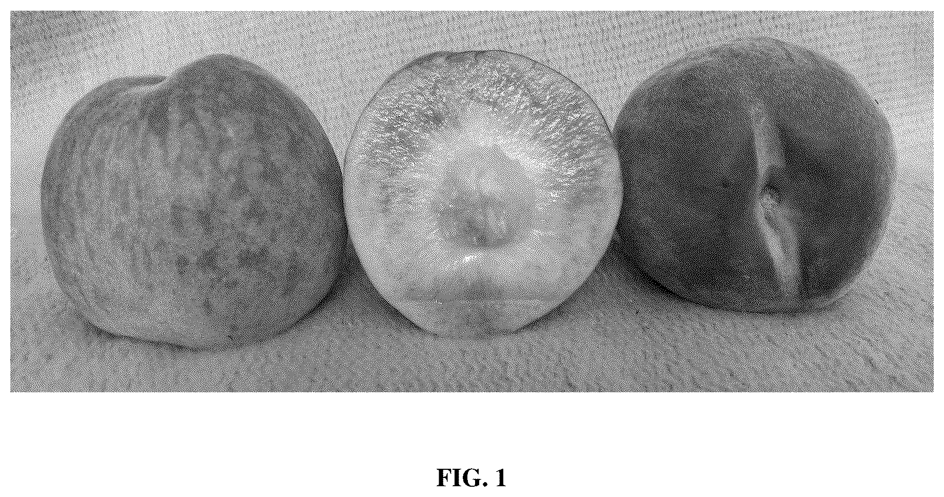 Patent USPP037104 — Peach tree named ‘TRH1A95’ — Figure 1