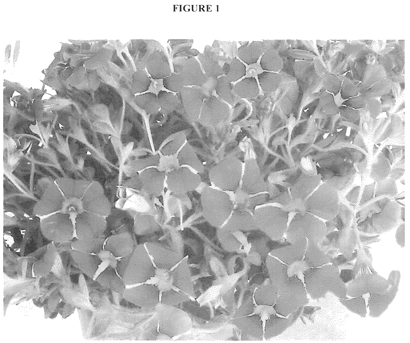 Patent USRE050451 Figure 1 – Calibrachoa plant with radially symmetric coloration