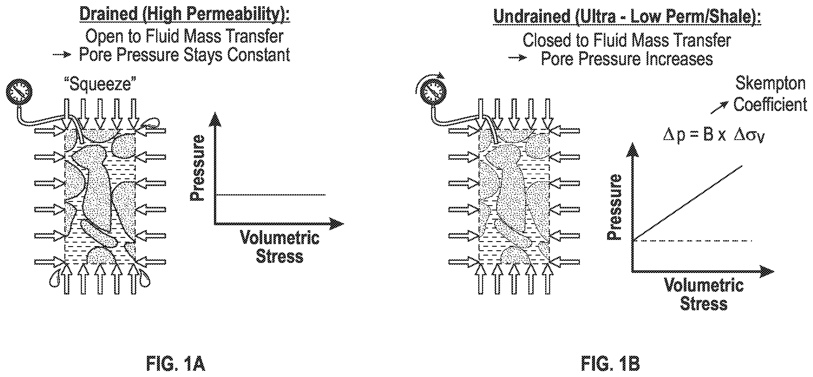 Patent US12541034 — Measurement of poroelastic pressure response — Figure 1