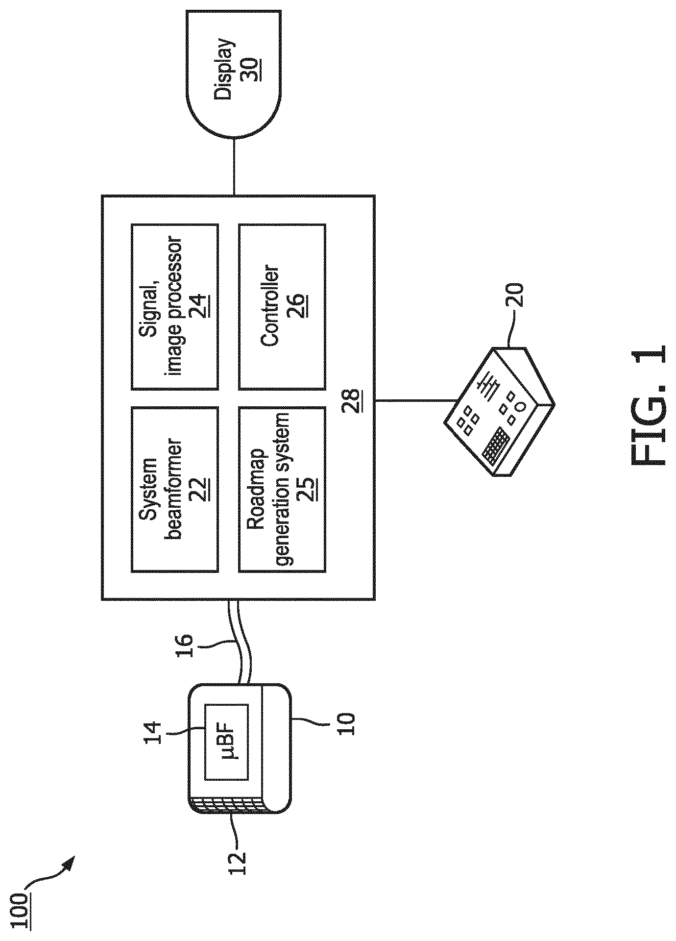 Patent US12541893 — Bi-plane and three-dimensional ultrasound image acquisition for generating roadmap images, and associated systems and devices — Figure 1