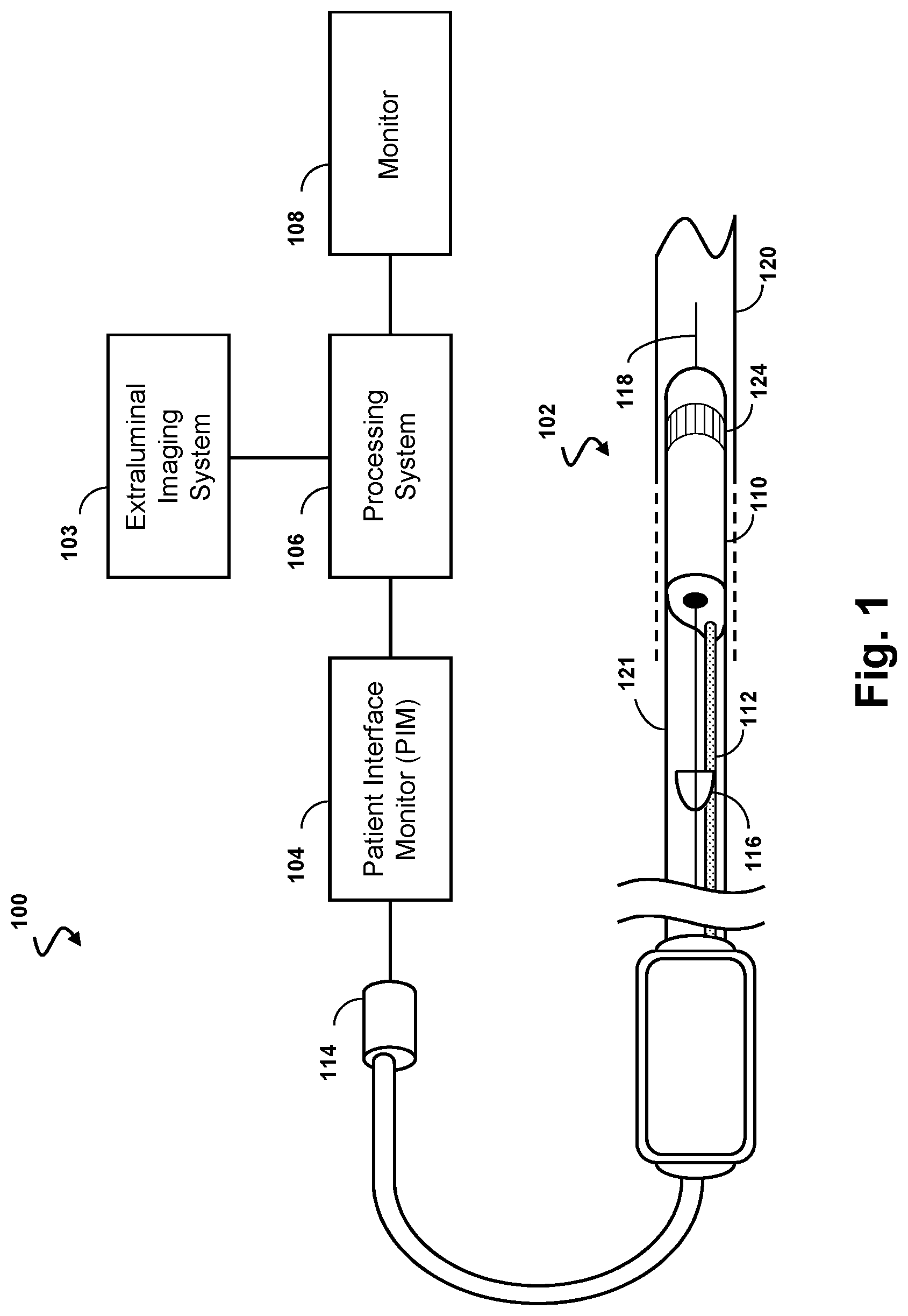 Patent US12551195 — Co-registration of intravascular and extravascular imaging for extravascular image with intravascular tissue morphology — Figure 1