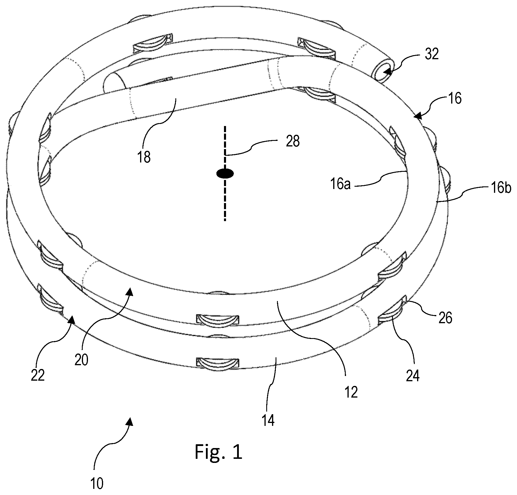 Patent US12551215 — Apparatus and method for forming an anastomosis — Figure 1