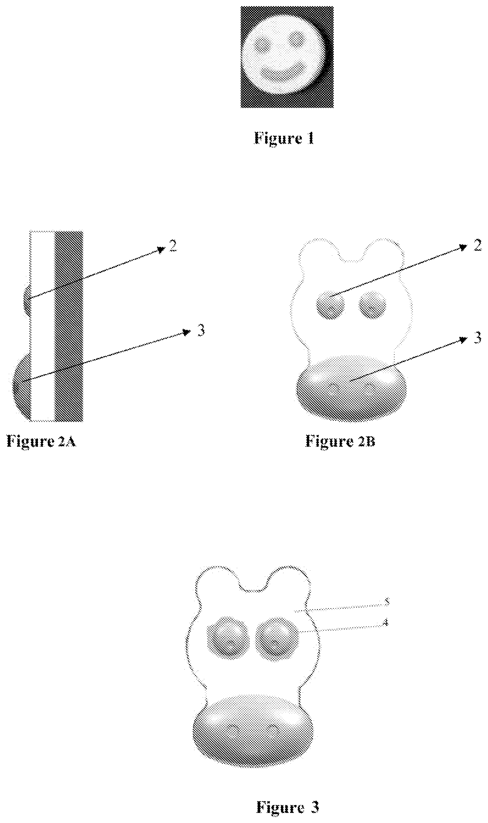 Patent US12551409 Figure 1 – Process for manufacturing a compressed product